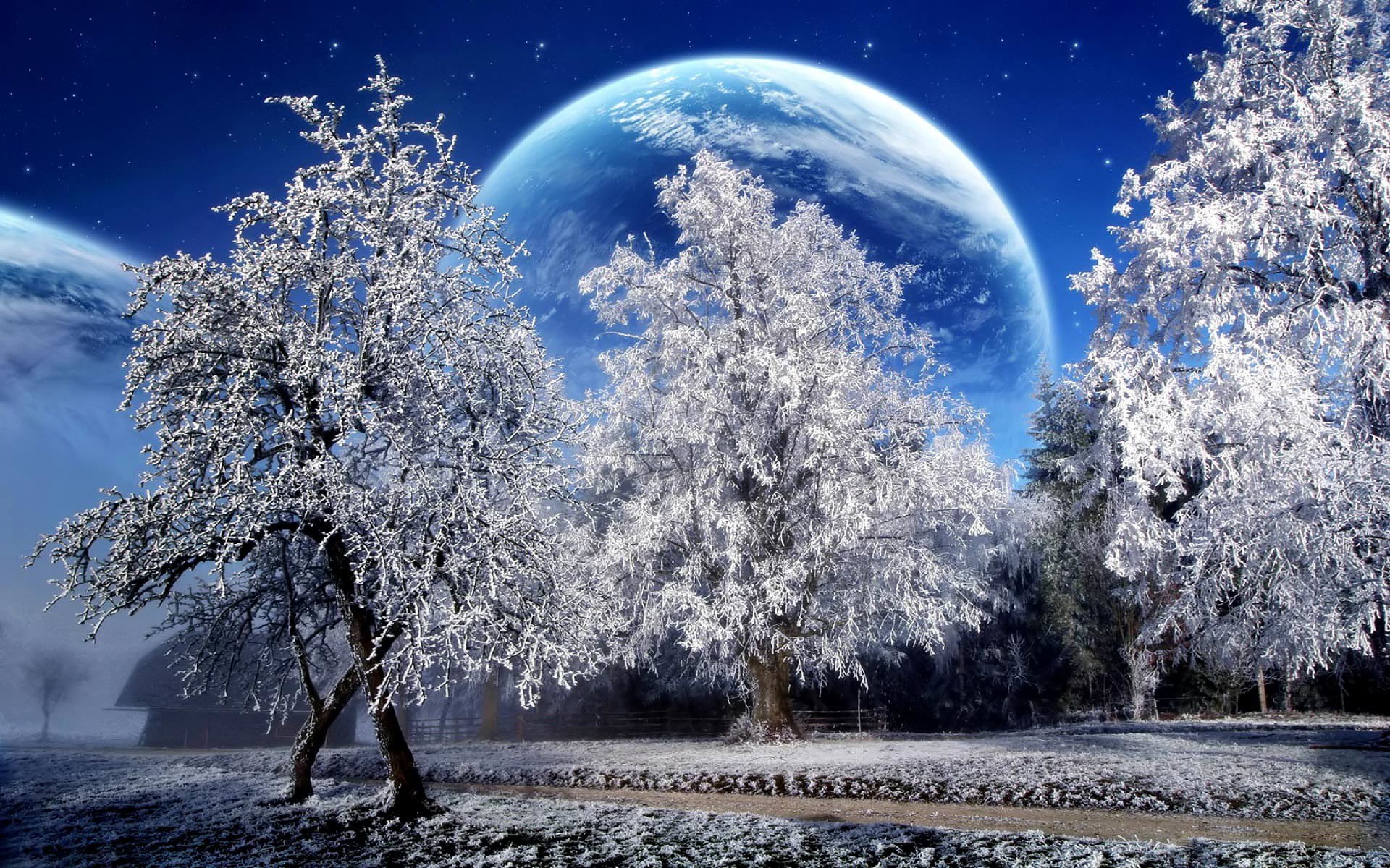 Pianeta, Alberi innevati, Fantasy, Cielo blu, 1920x1200, immagine di sfondo