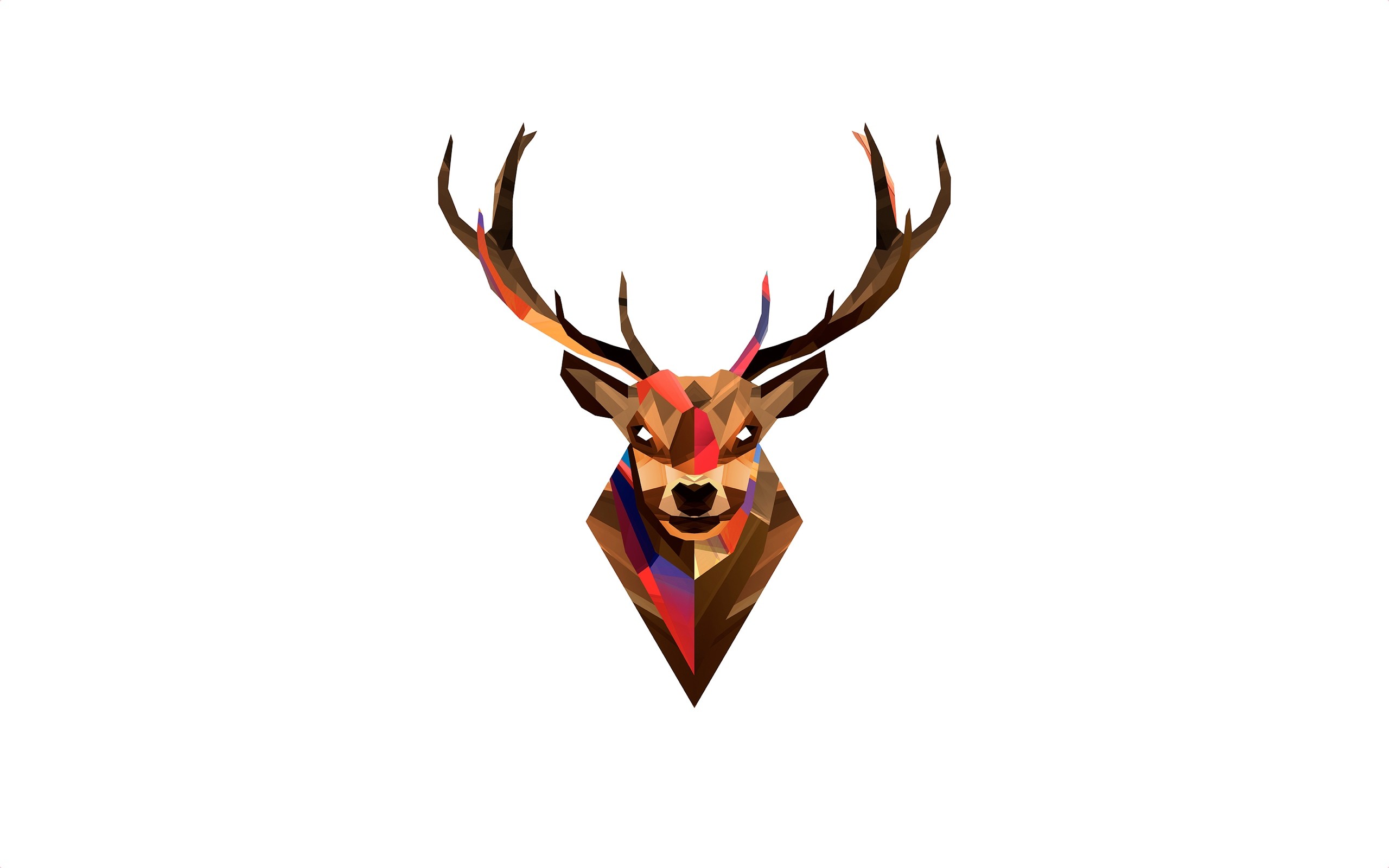 Cervo, Corna, Low poly, Sfondo bianco, 16:10 2K, wallpaper widescreen