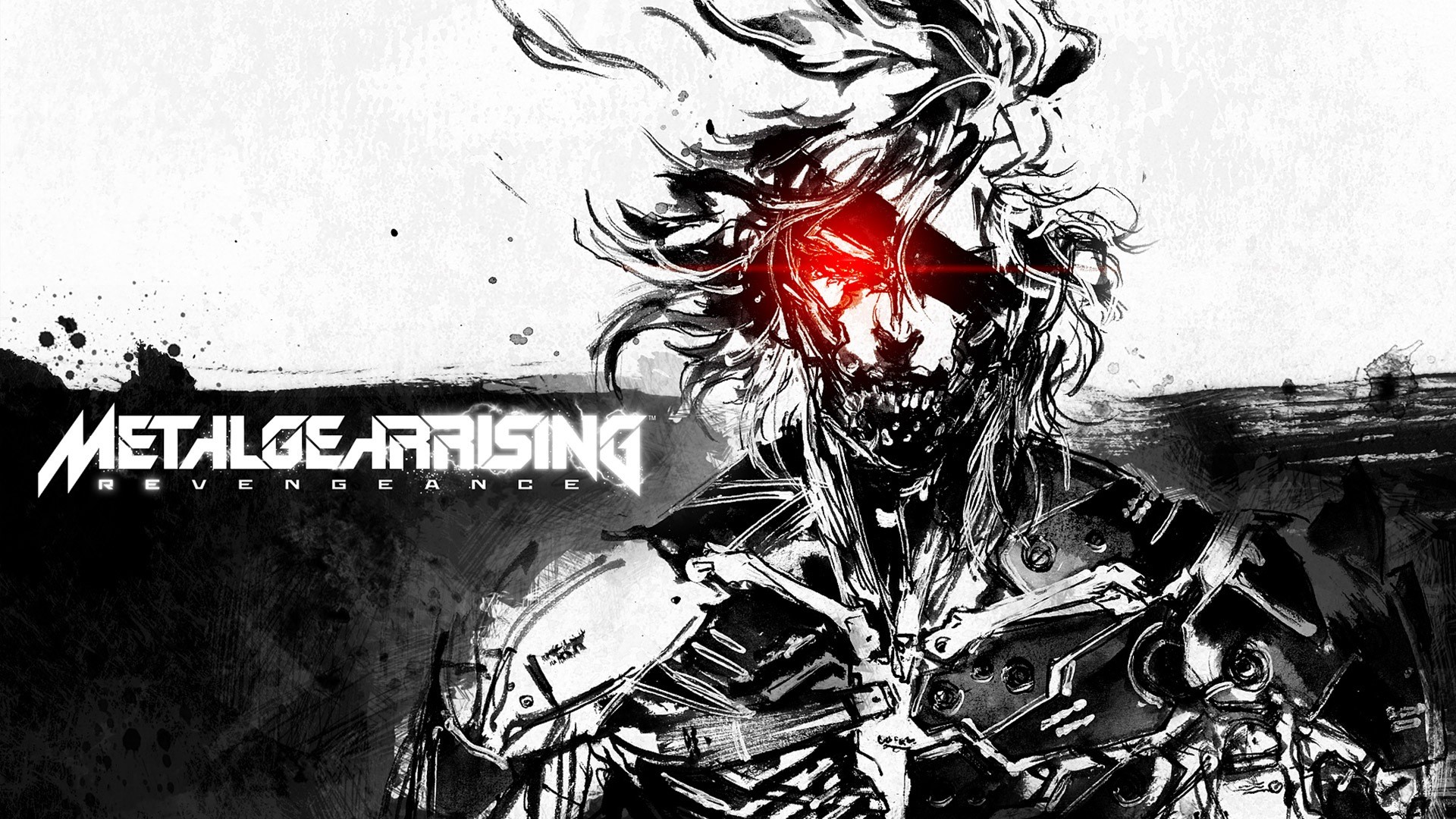 Raiden, Metal Gear Rising: Revengeance, Logo, Bianco e nero, Full HD, sfondo Windows 11