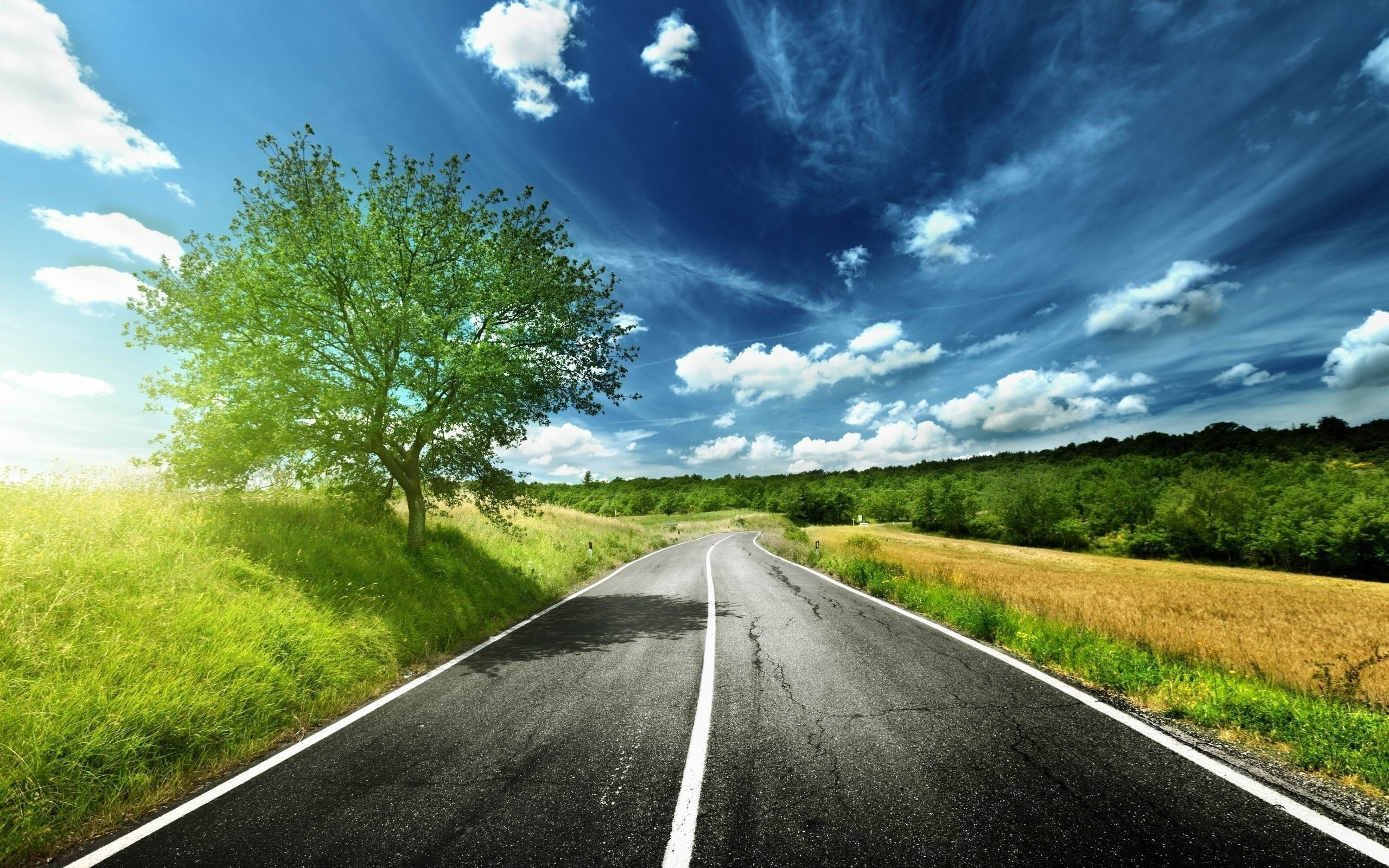 Strada, Albero, Campagna, Cielo azzurro, Estate, 2560x1600, sfondo MacBook Pro