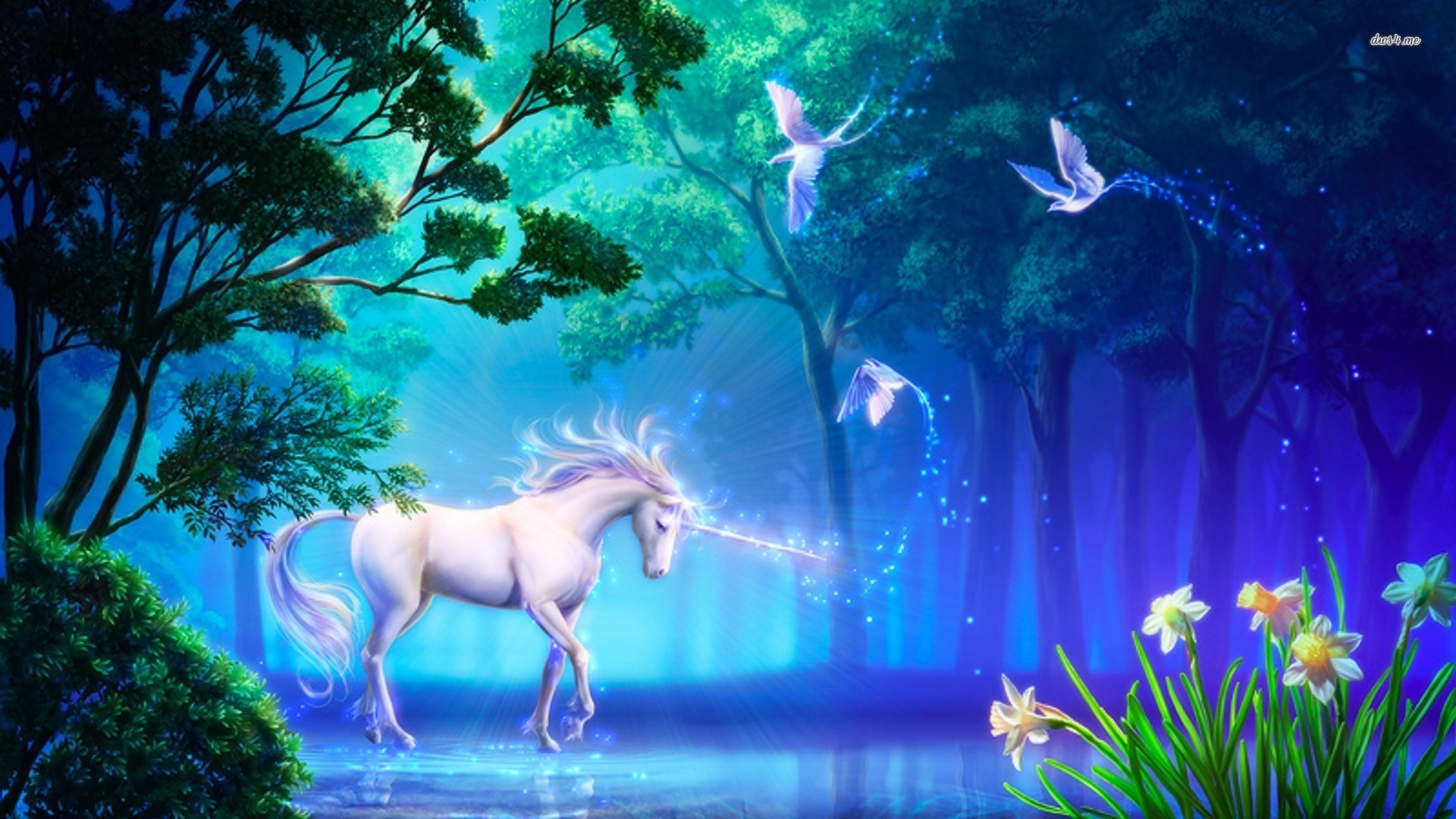 Unicorno, Fantasy, Foresta incantata, Notte, Lago, Full HD, sfondo per PC e portatile