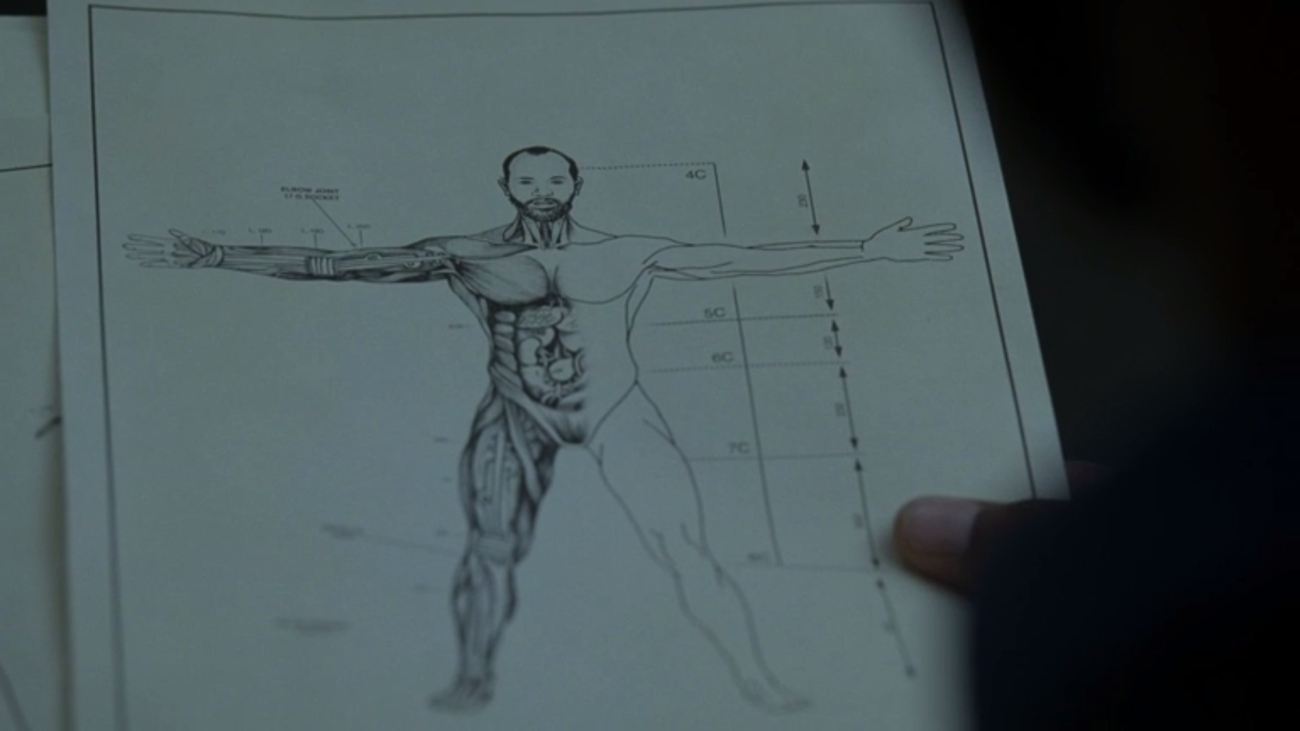 Westworld, Disegno anatomico, Uomo vitruviano, Schizzo, 2K, sfondo Windows 11