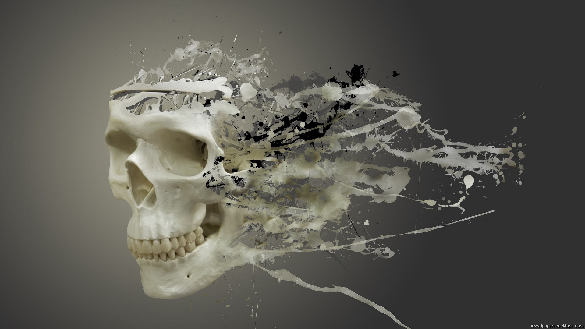 Teschio, Schizzi, Arte digitale, Grigio, sfondo per desktop