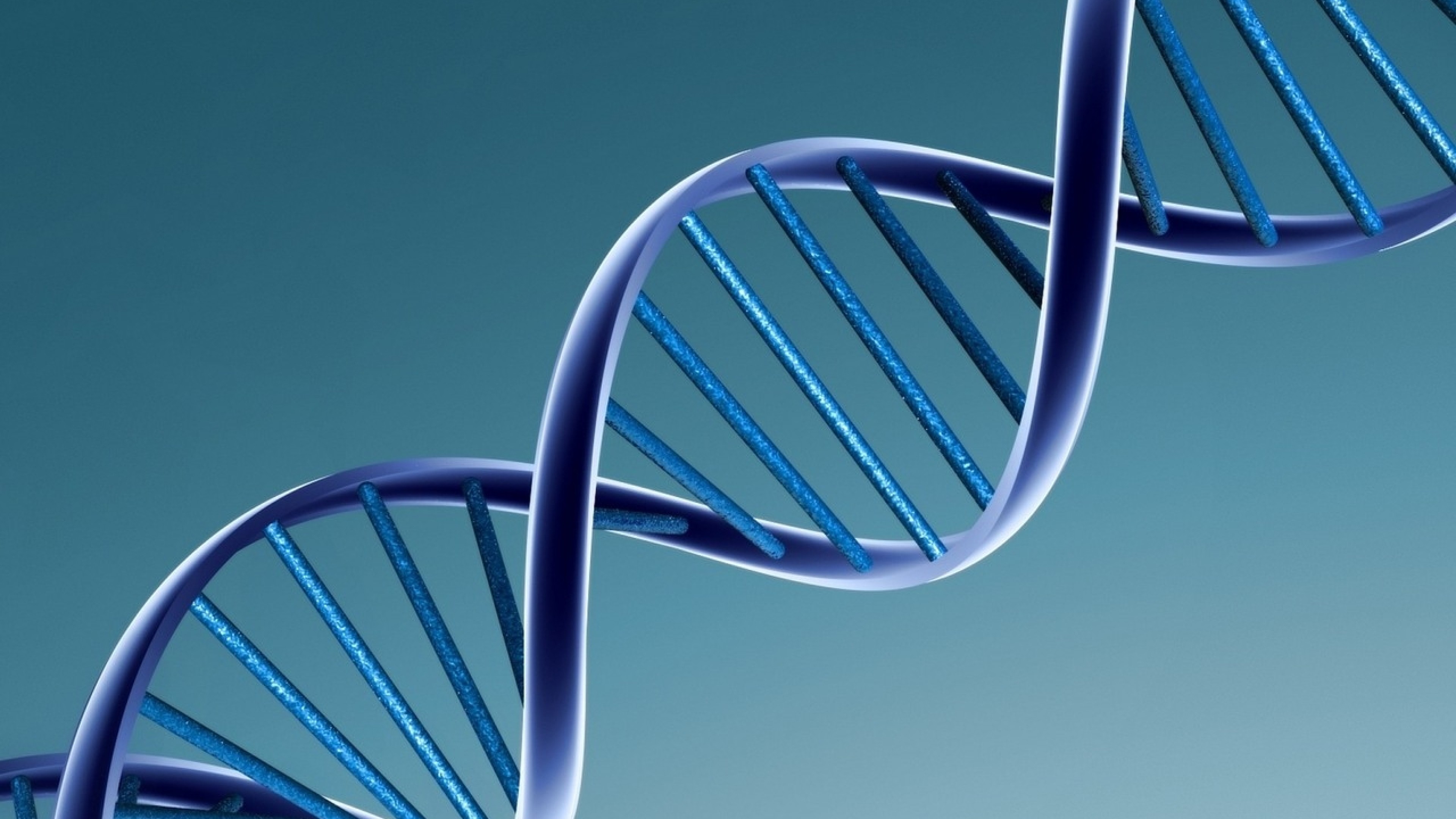 DNA, Doppia elica, Blu, 3840x2160, sfondo per PC