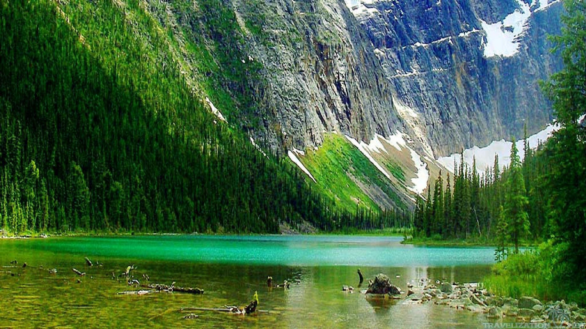 Lago Cavell, Parco nazionale di Jasper, Lago, Montagne, Foresta, sfondo desktop 1920x1080