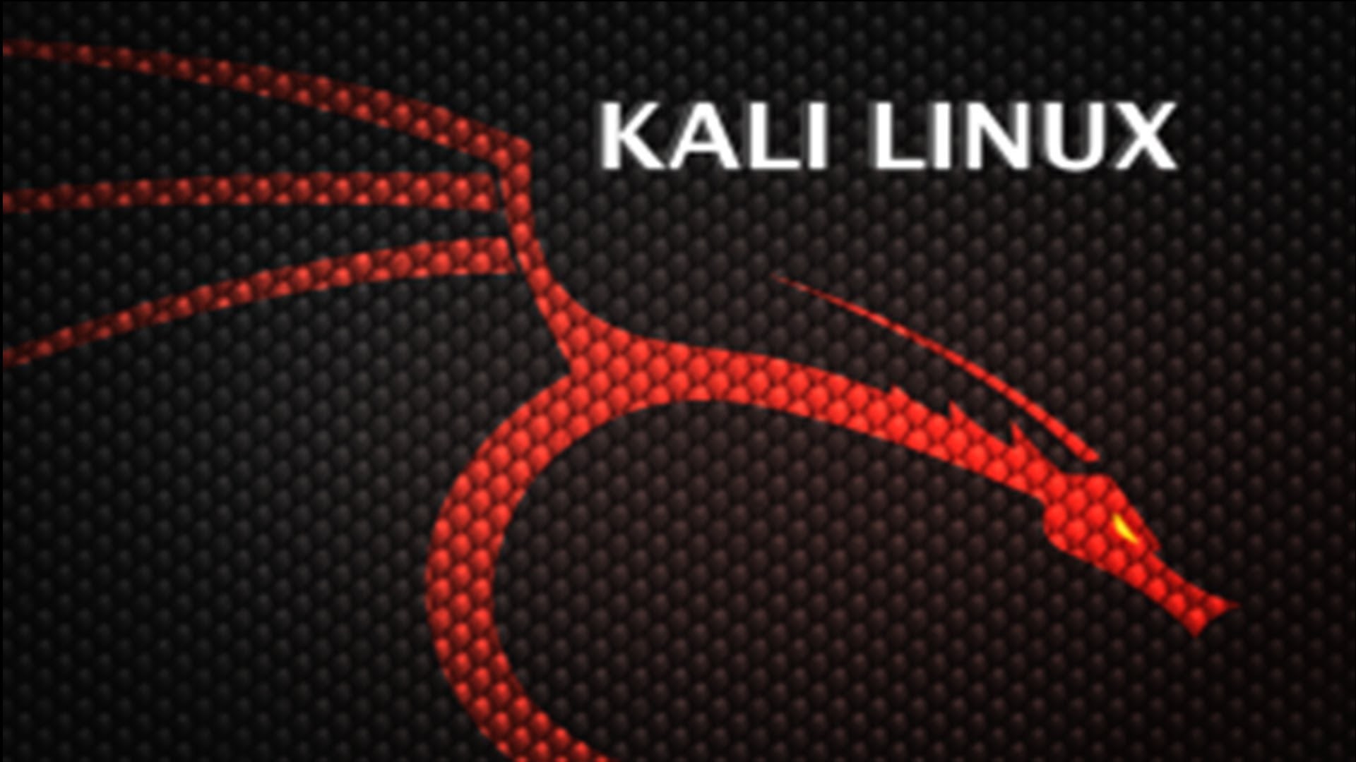Kali Linux, Logo del drago, Rosso, Fibra di carbonio, Full HD, sfondo desktop