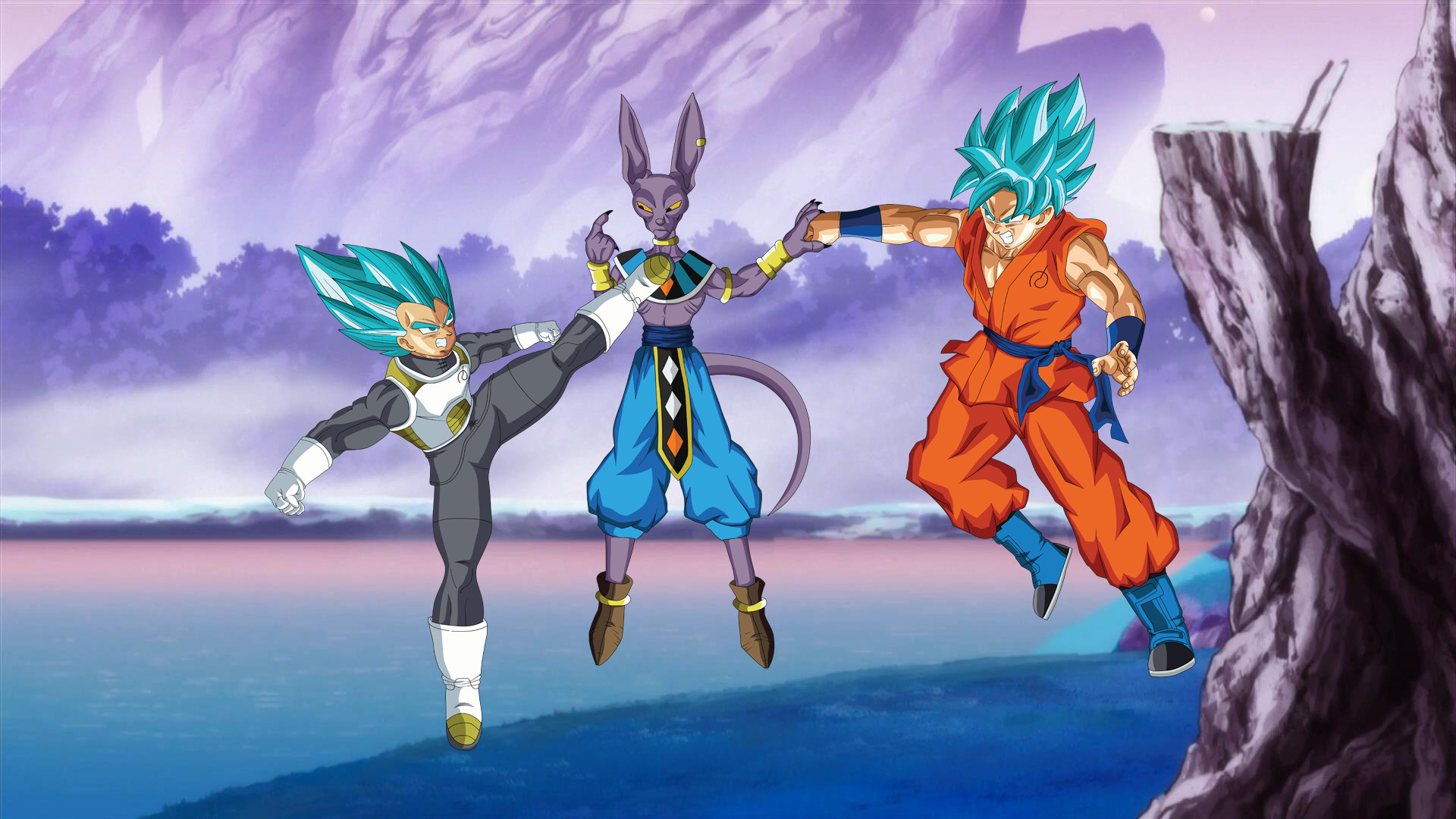 Vegeta, Beerus, Son Goku, Dragon Ball Super, Combattimento, 1920x1080, sfondo per PC