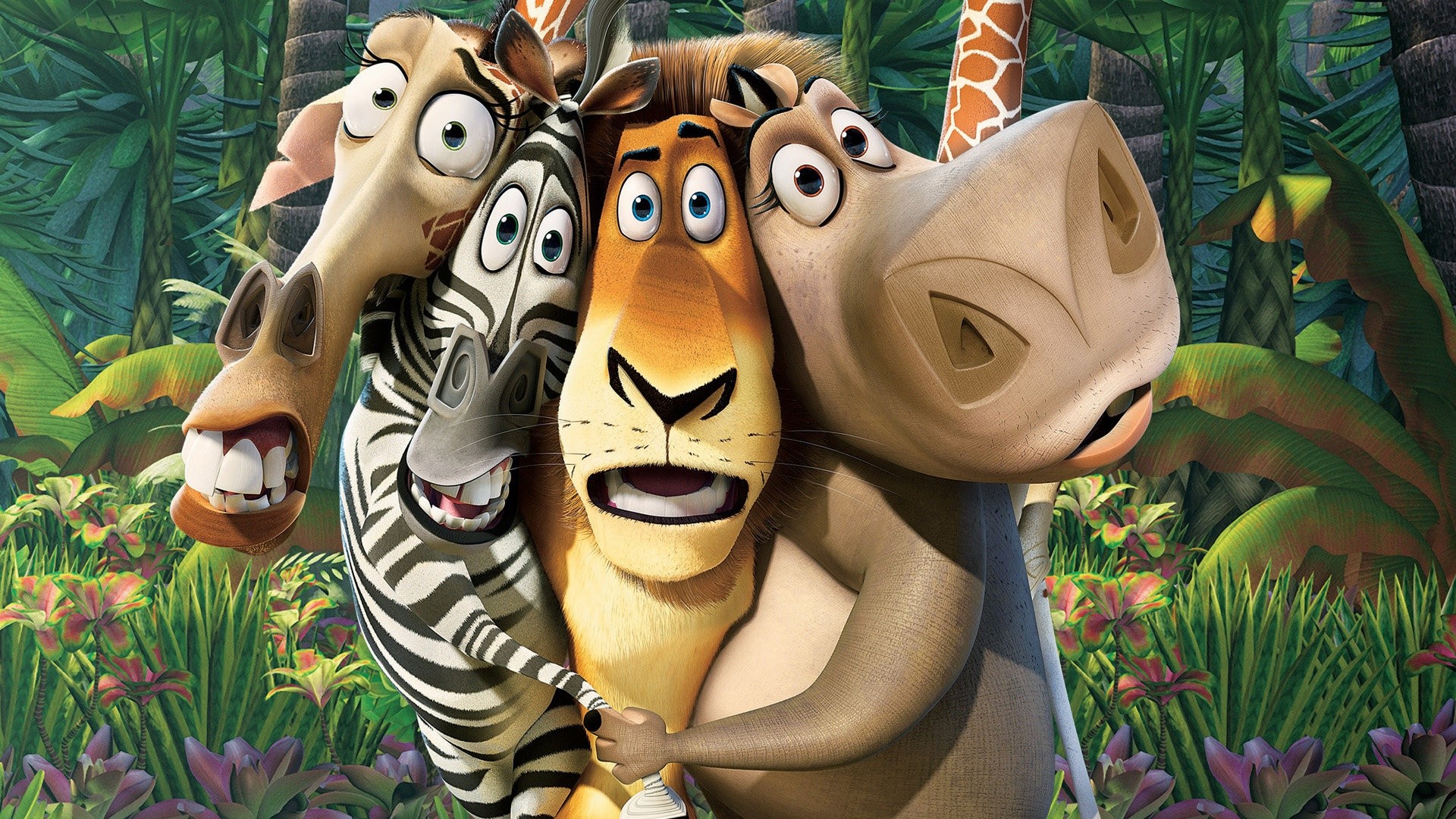 Madagascar, Alex, Marty, Gloria, Melman, DreamWorks, sfondo computer