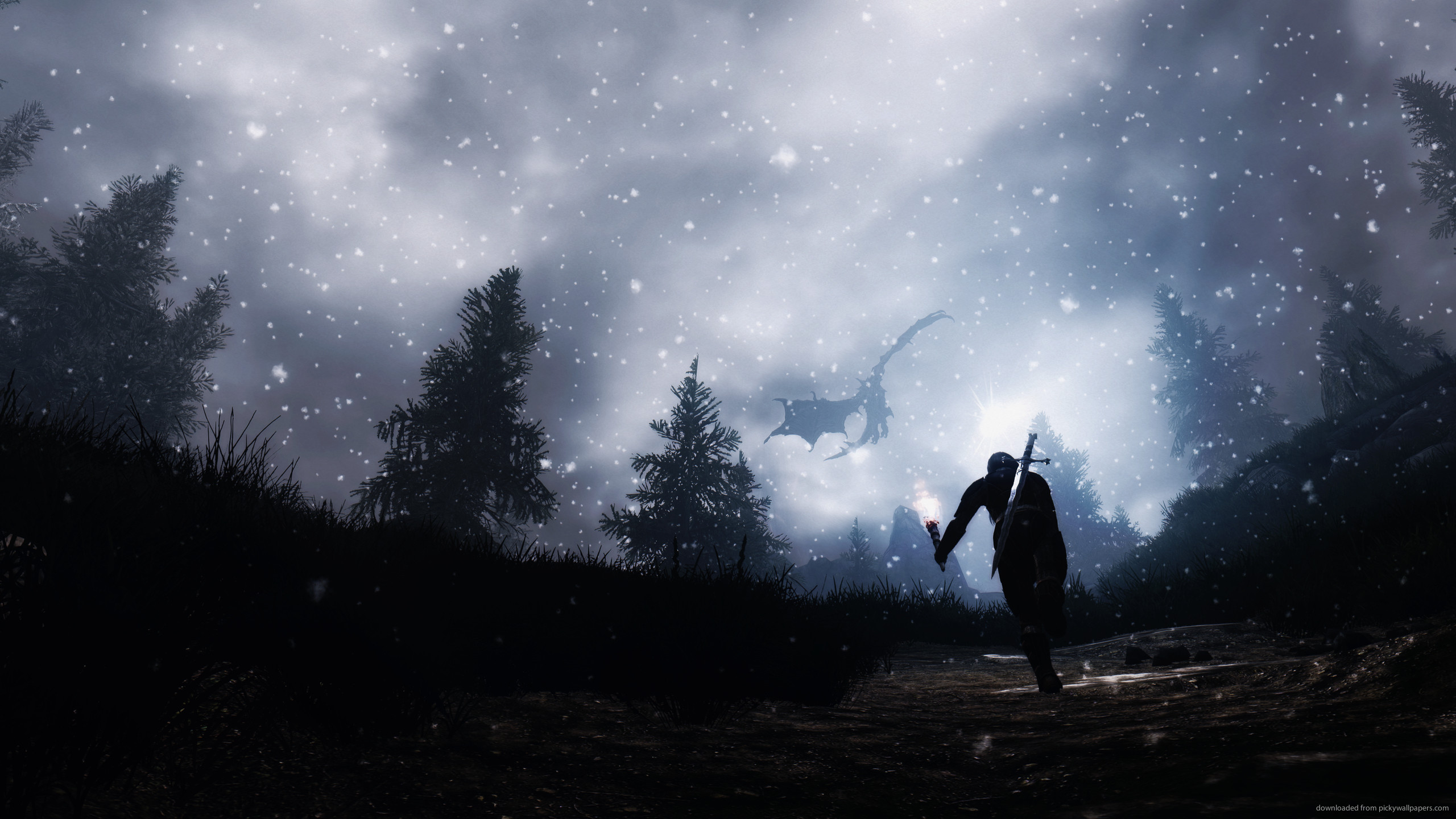 The Elder Scrolls V: Skyrim, Drago, Neve, Foresta, Notte, 2560x1440, immagine di sfondo
