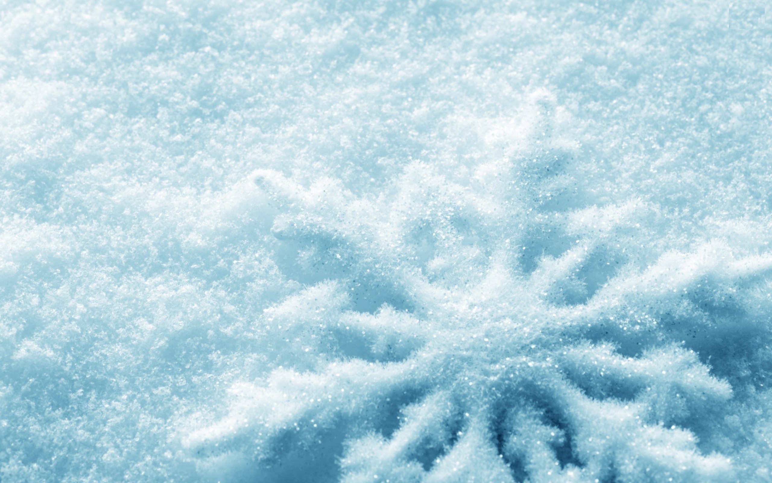 Fiocco di neve, Macro, Azzurro, 2K, sfondo desktop