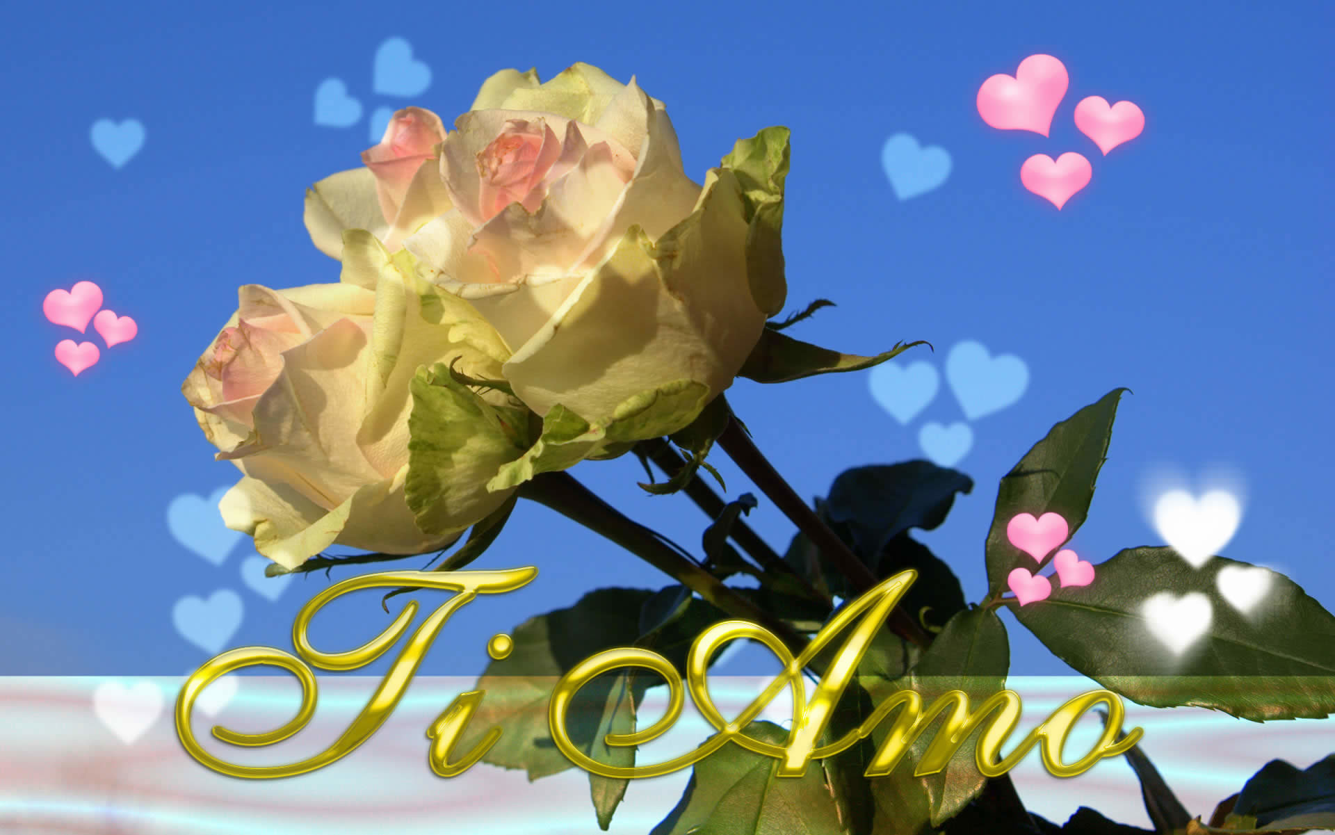 Ti Amo, Rose, Cuori, San Valentino, sfondo Full HD per computer