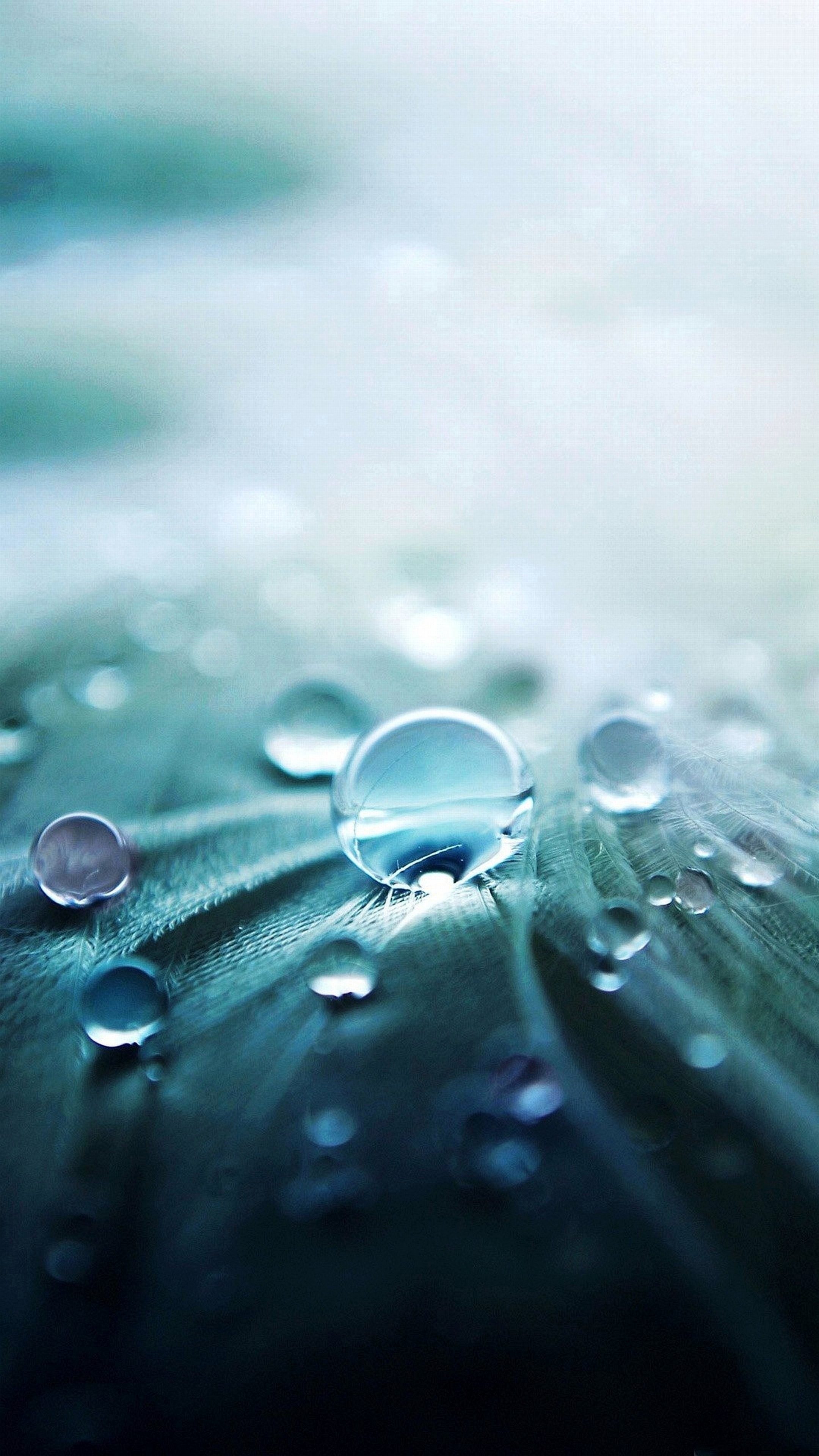 Gocce d'acqua, Piuma, Macro, Verde acqua, wallpaper per iPhone e Android