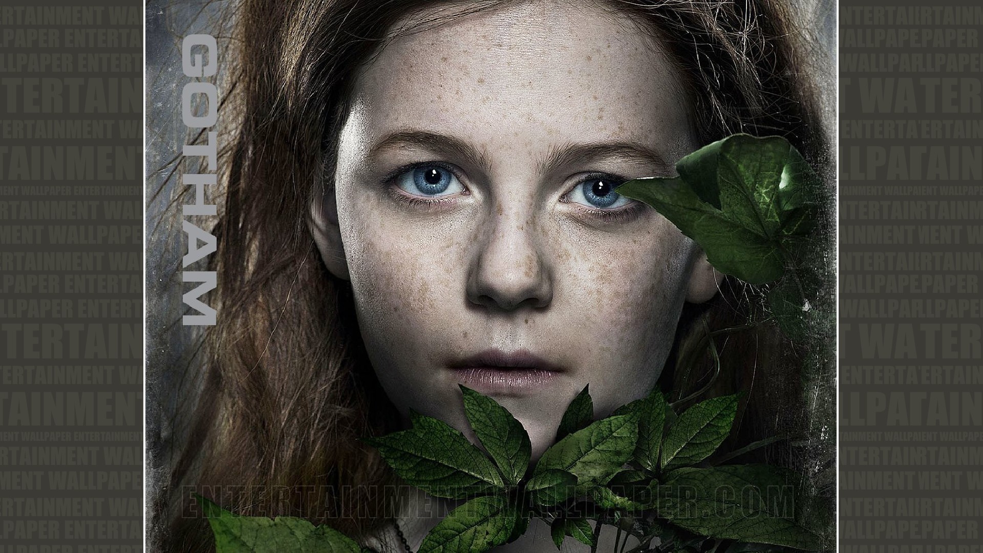 Gotham, Ivy Pepper, Clare Foley, Foglie, Full HD, sfondo per portatile
