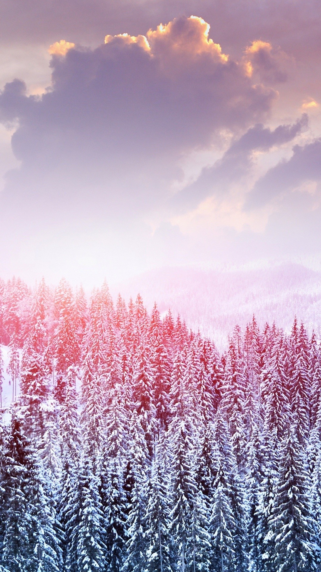 Foresta innevata, Nuvole rosa, Inverno, Verticale, sfondo per il tuo computer