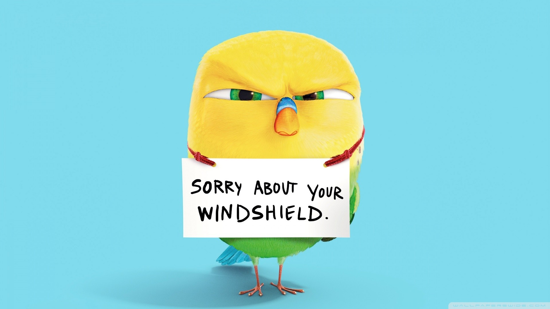 Uccellino giallo, Cartello, Sorry about your windshield, Umorismo, Azzurro, sfondo Full HD per portatile