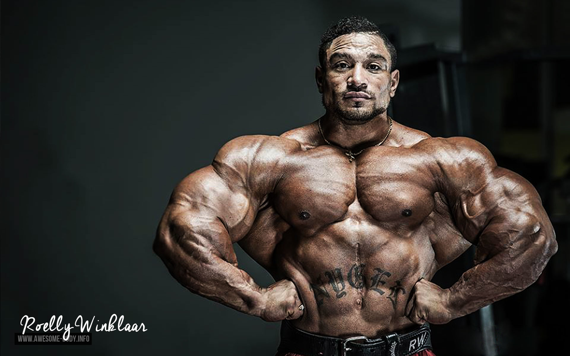Roelly Winklaar, Culturista, Posa, Muscoli, 1920x1200, sfondo MacBook Pro