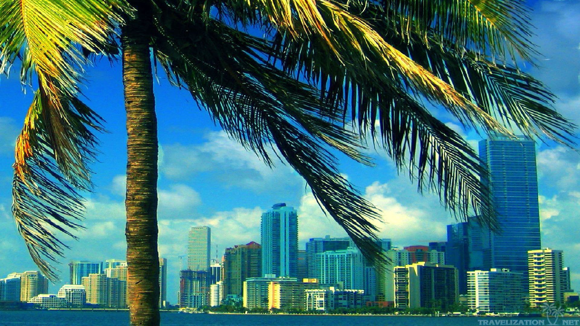 Brickell, Miami, Palma, Skyline, Full HD, sfondo per PC e portatile