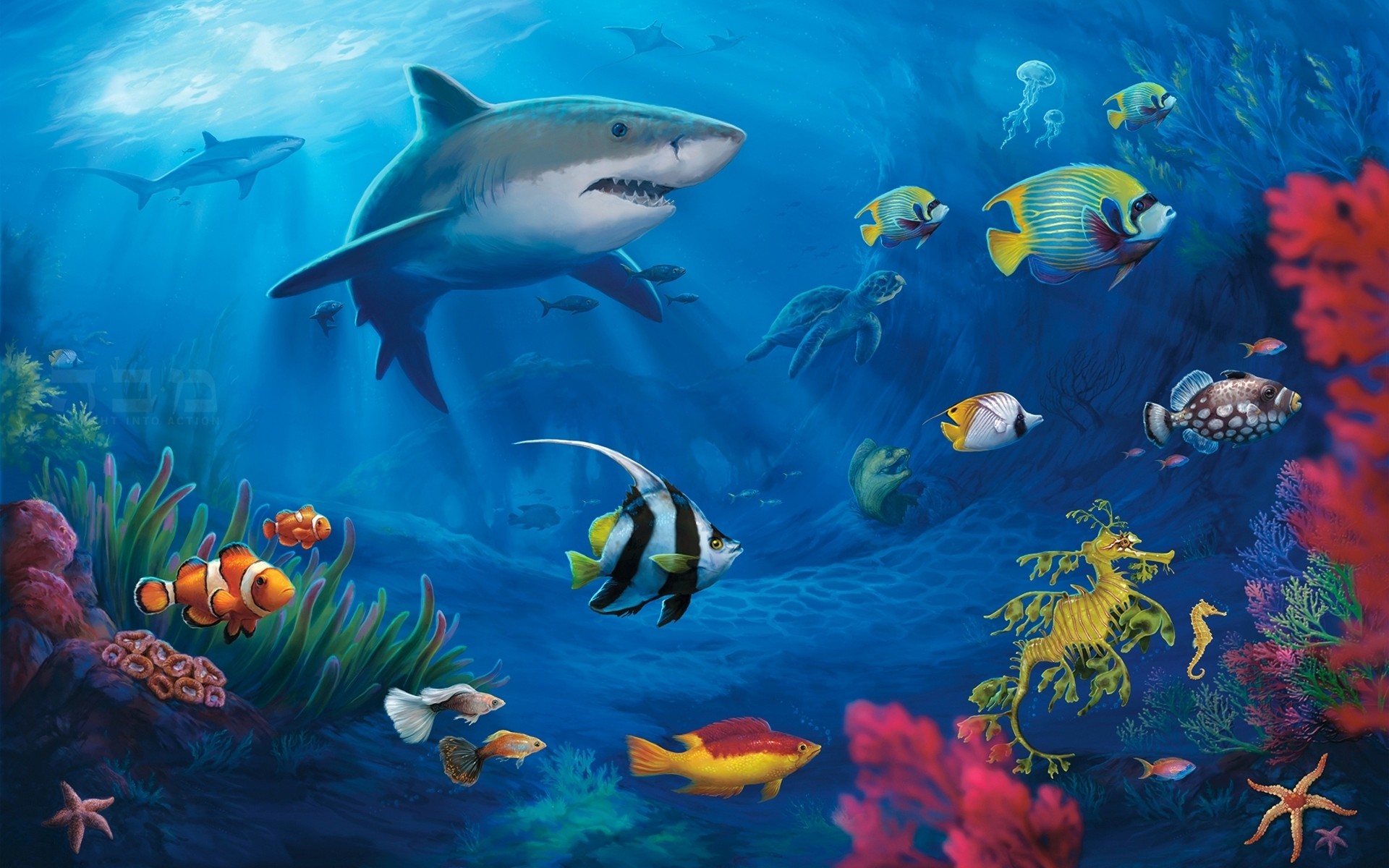 Squalo, Pesci tropicali, Pesce pagliaccio, Barriera corallina, Illustrazione, sfondo per PC