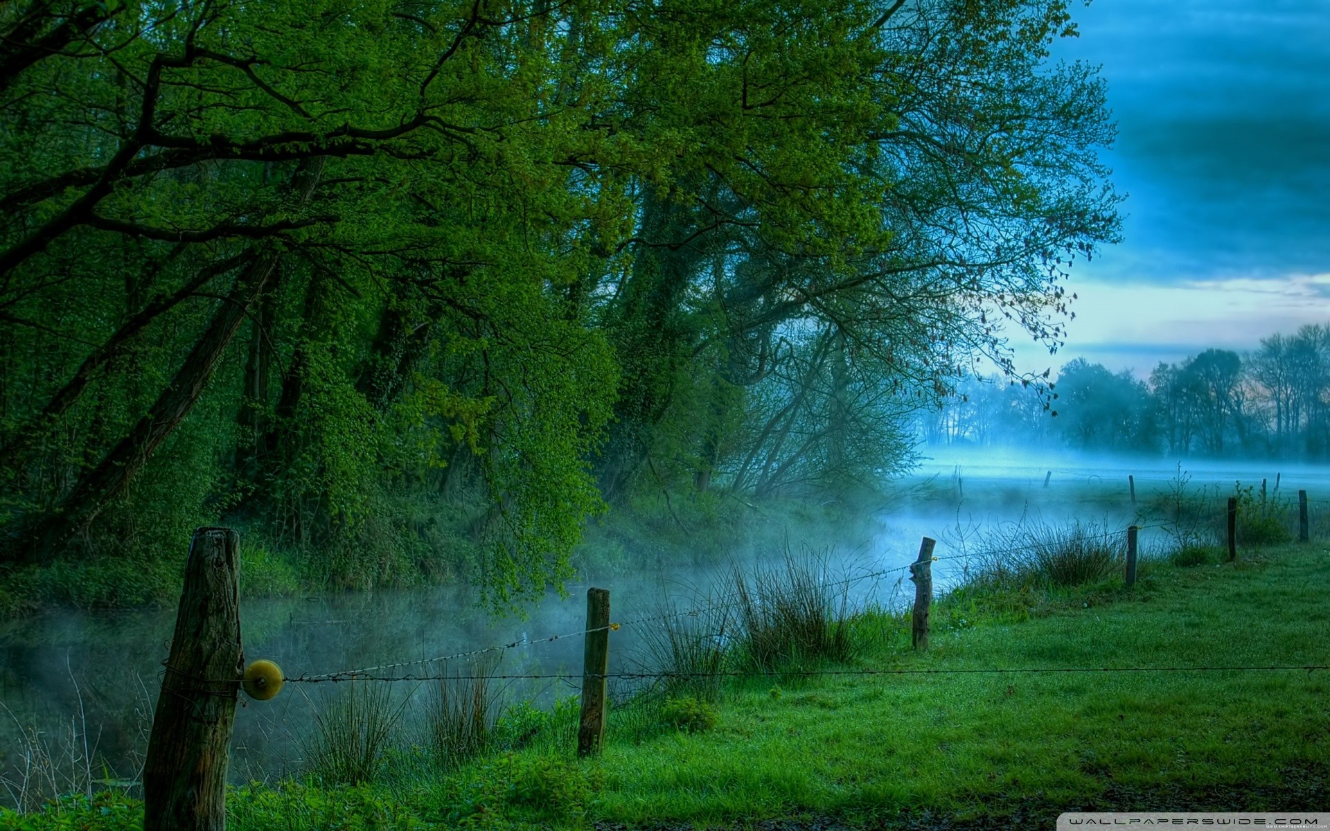Lago, Alberi, Nebbia, Recinzione, Full HD, sfondo Windows 11