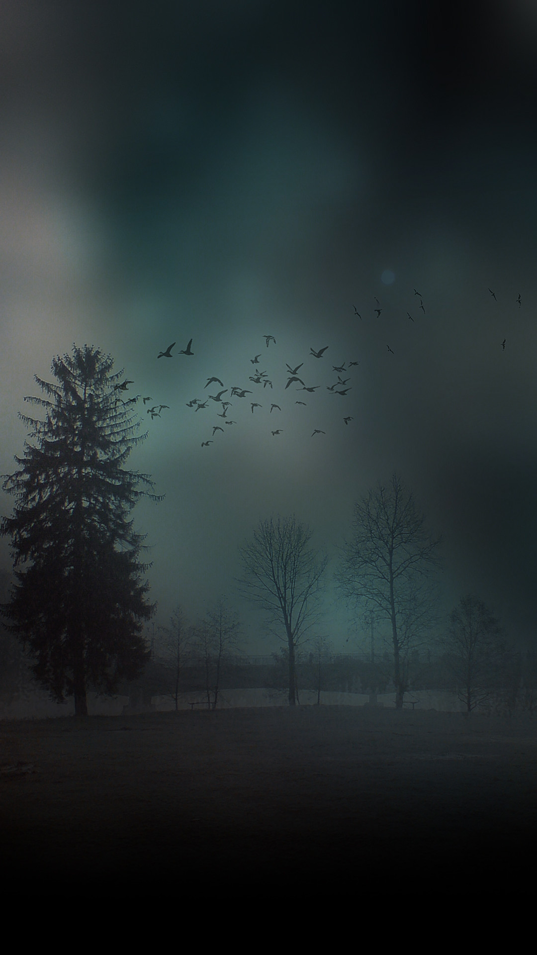 Alberi, Nebbia, Uccelli in volo, Atmosfera cupa, sfondo Full HD per smartphone
