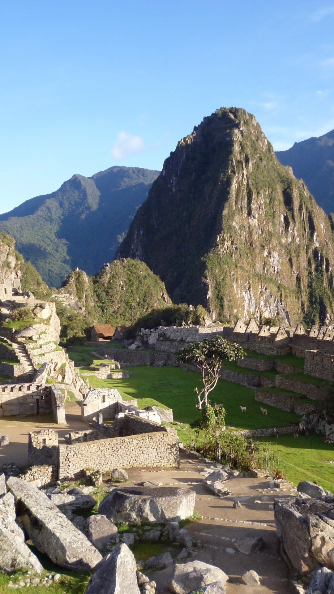 Machu Picchu, Huayna Picchu, Perù, Cielo azzurro, Full HD, sfondo verticale per cellulare