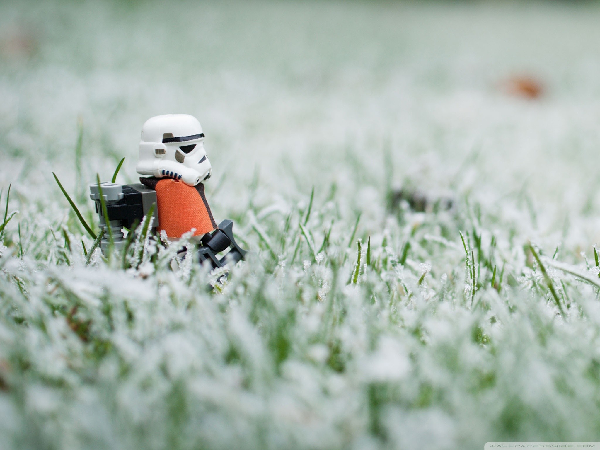 Stormtrooper, Star Wars, LEGO, Erba gelata, sfondo per iPad e tablet