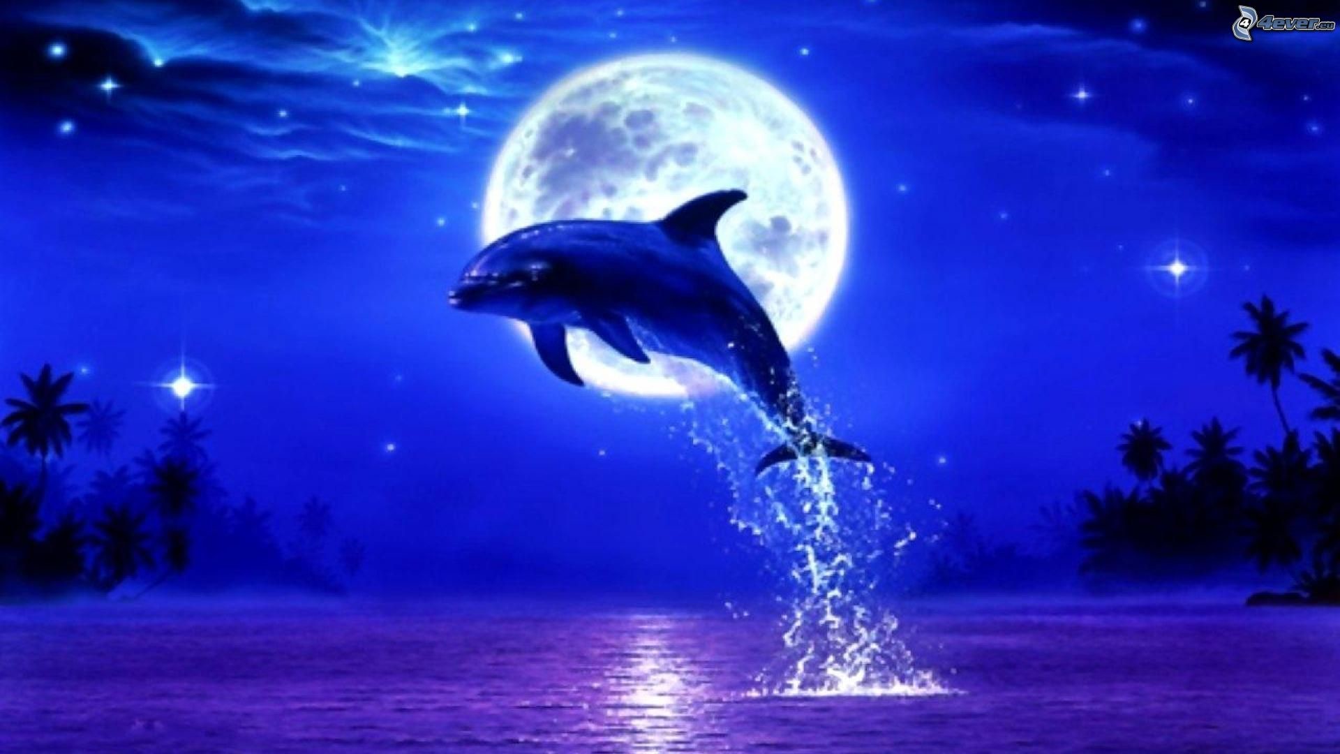 Luna piena, Delfino, Mare, Palme, Blu, 1920x1080, sfondo per PC