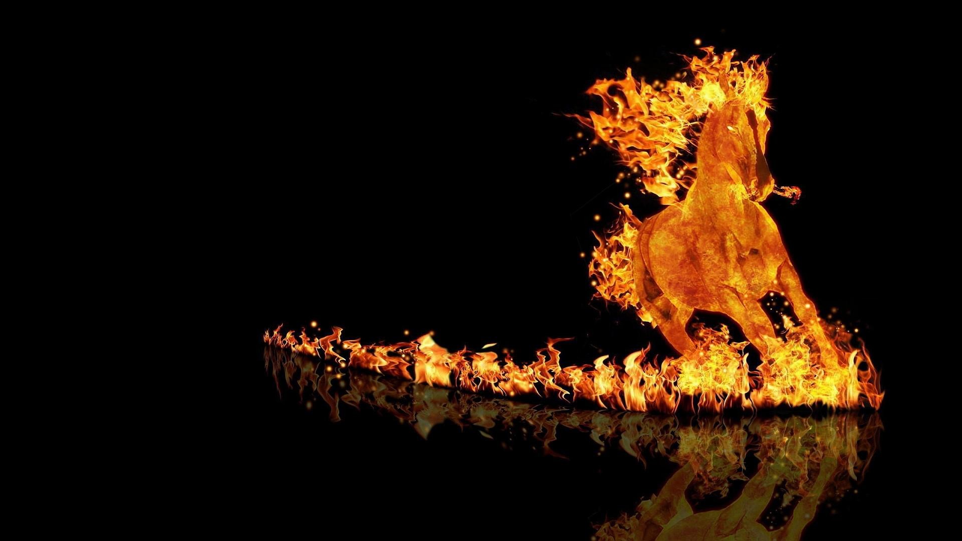 Cavallo di fuoco, Cavallo, Scia di fuoco, Sfondo nero, Full HD, wallpaper per computer