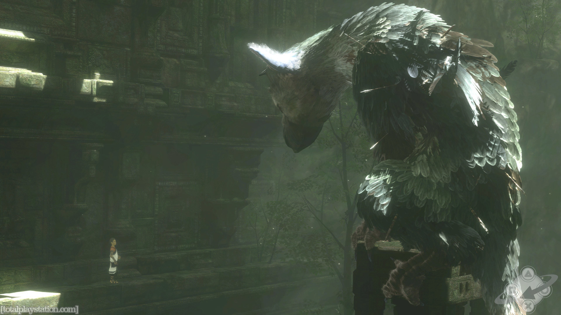 Trico, The Last Guardian, Ombra, Verde, Full HD, sfondo desktop