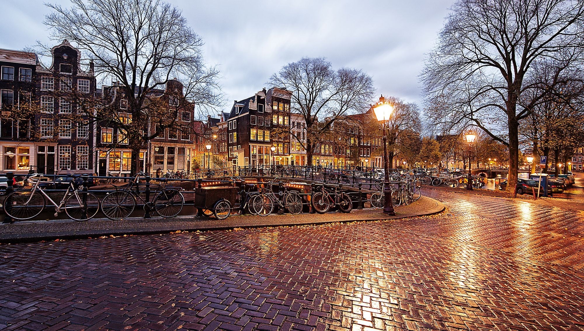Amsterdam, Biciclette, Lampione, Selciato bagnato, Alberi spogli, sfondo desktop Full HD