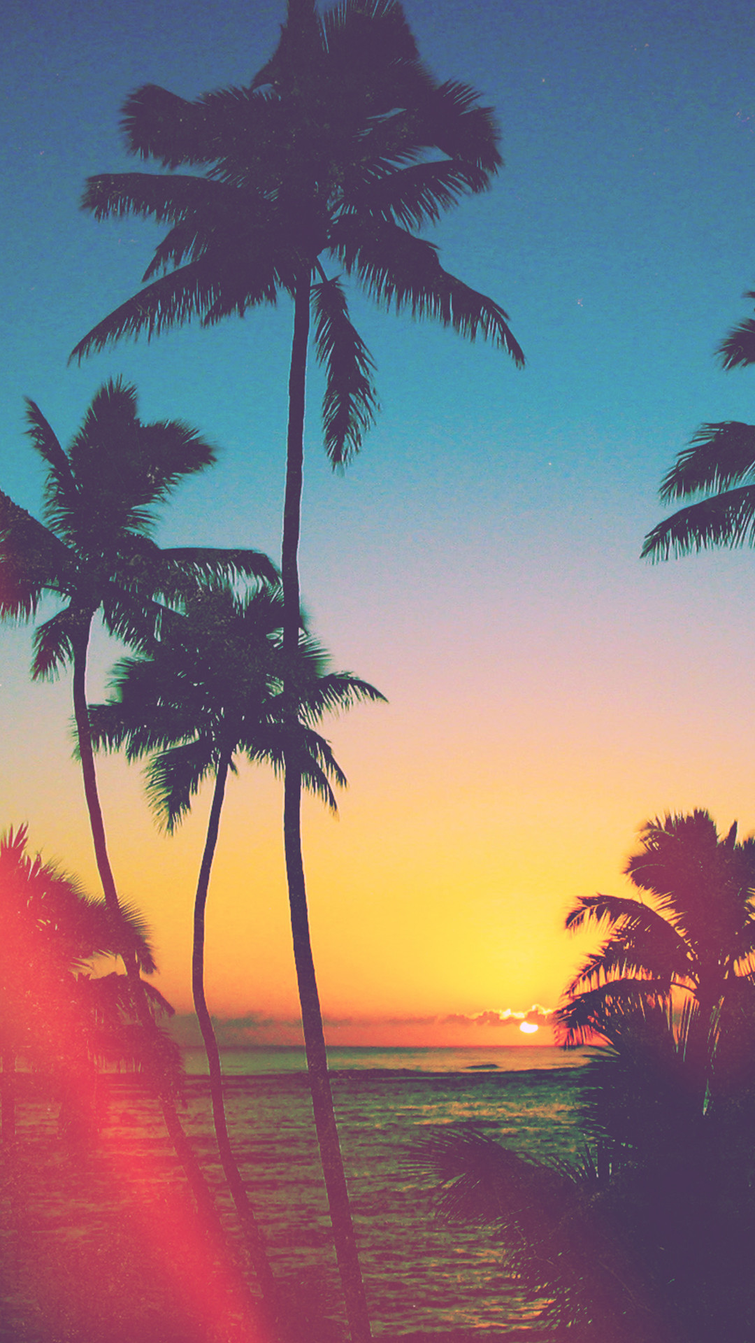 Palme, Tramonto, California, Verticale, Effetto vintage, Full HD, sfondo per iPhone e Android
