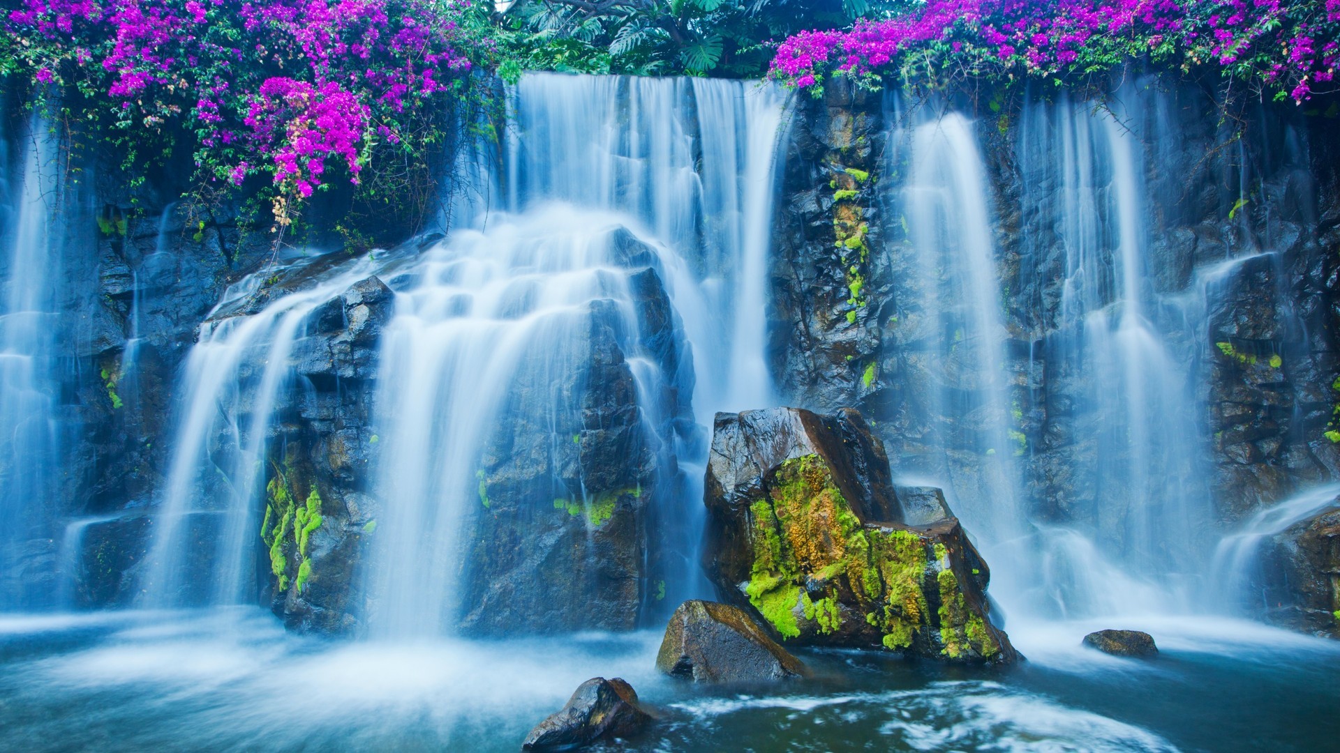 Cascata, Fiori viola, Rocce, Arte digitale, Full HD, sfondo desktop