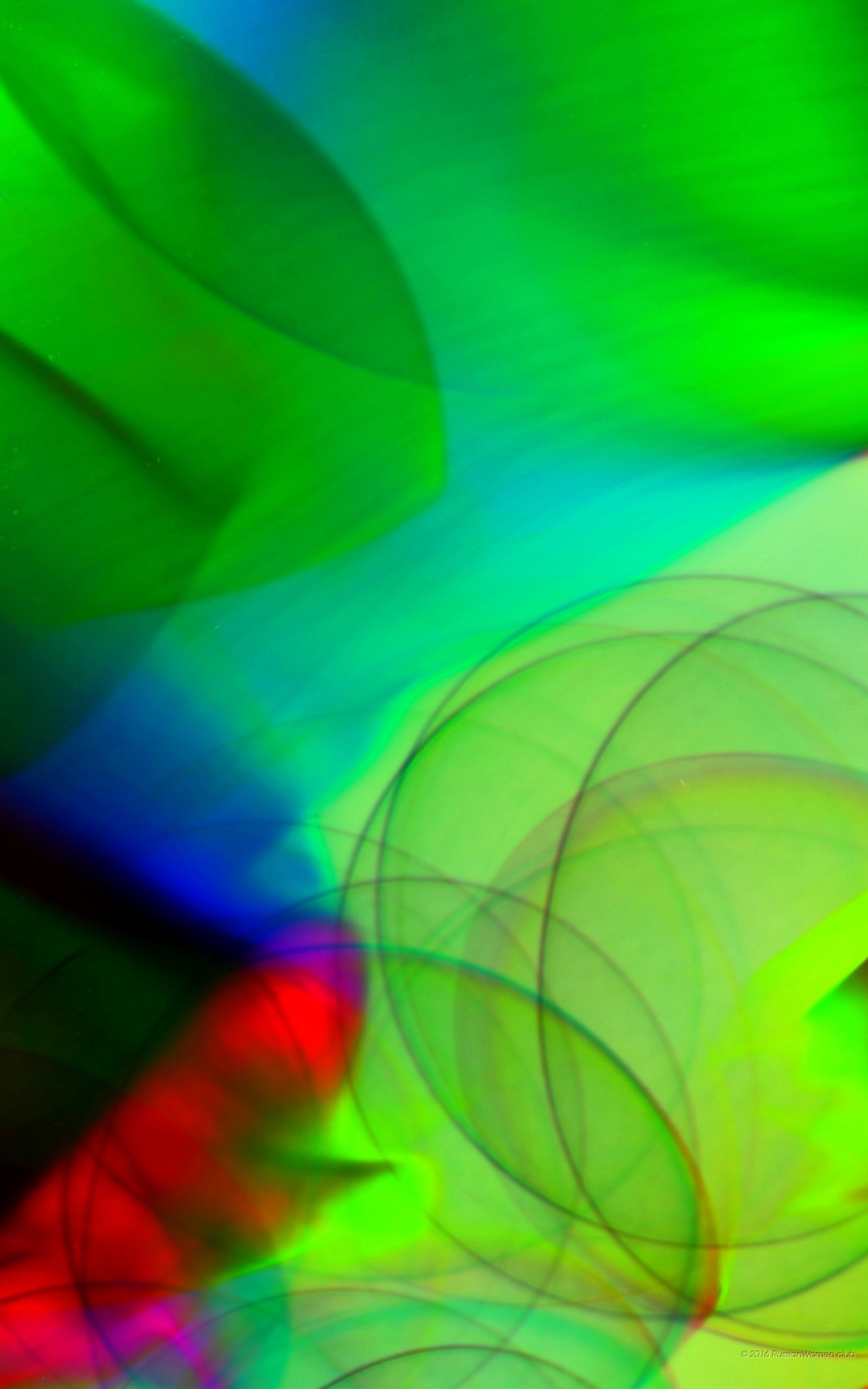 Astratto, Cerchi, Verde, QHD+, schermata di blocco del cellulare
