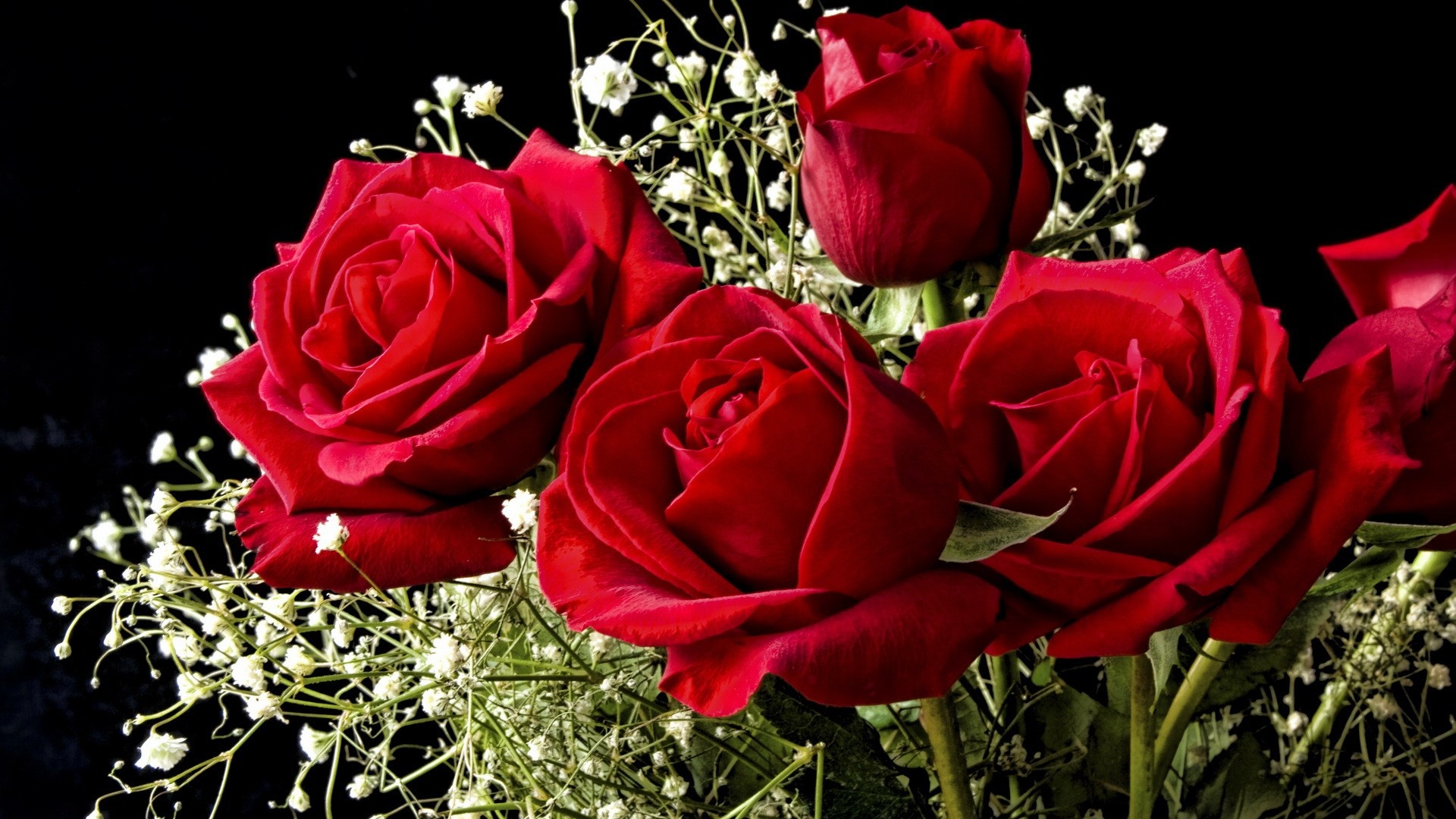 Rose rosse, Gipsofila, Bouquet, Sfondo nero, Full HD, wallpaper per computer