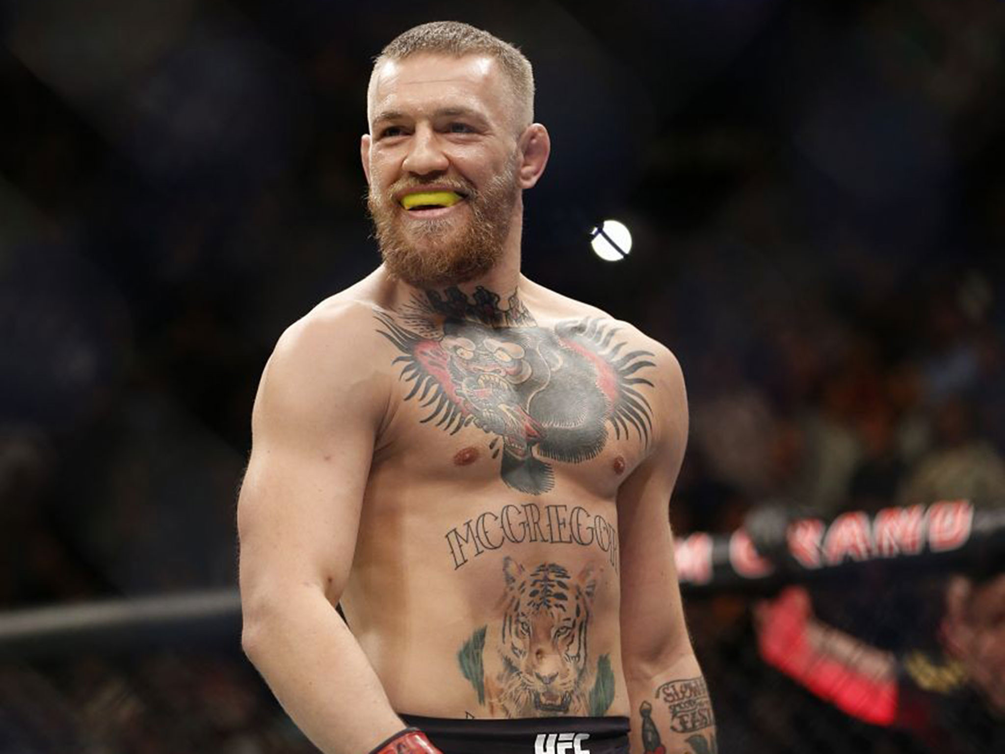 Conor McGregor, Paradenti, Tatuaggi, UFC, Full HD, sfondo per iPad e tablet