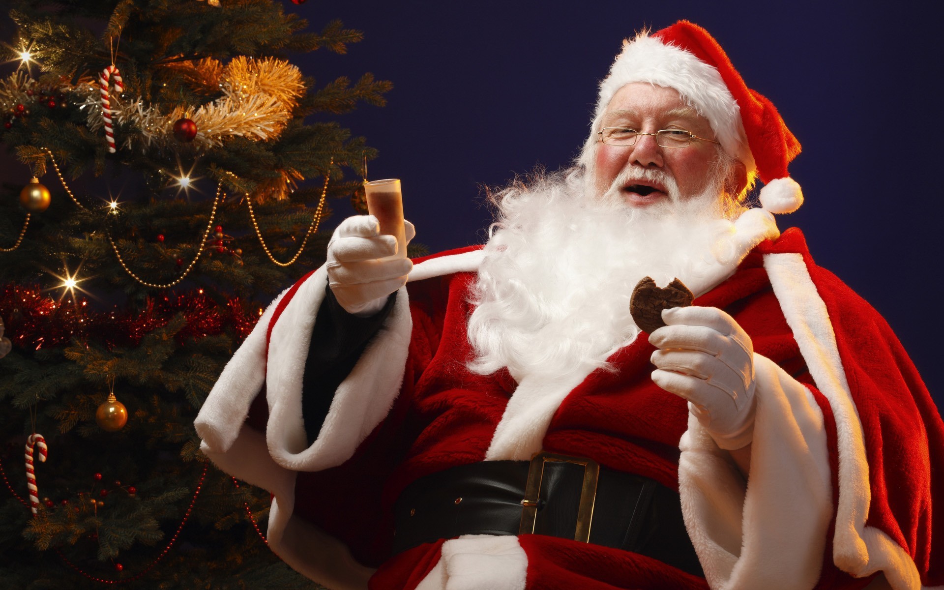 Babbo Natale, Biscotto, Albero di Natale, Risata, 1920x1200, immagine di sfondo
