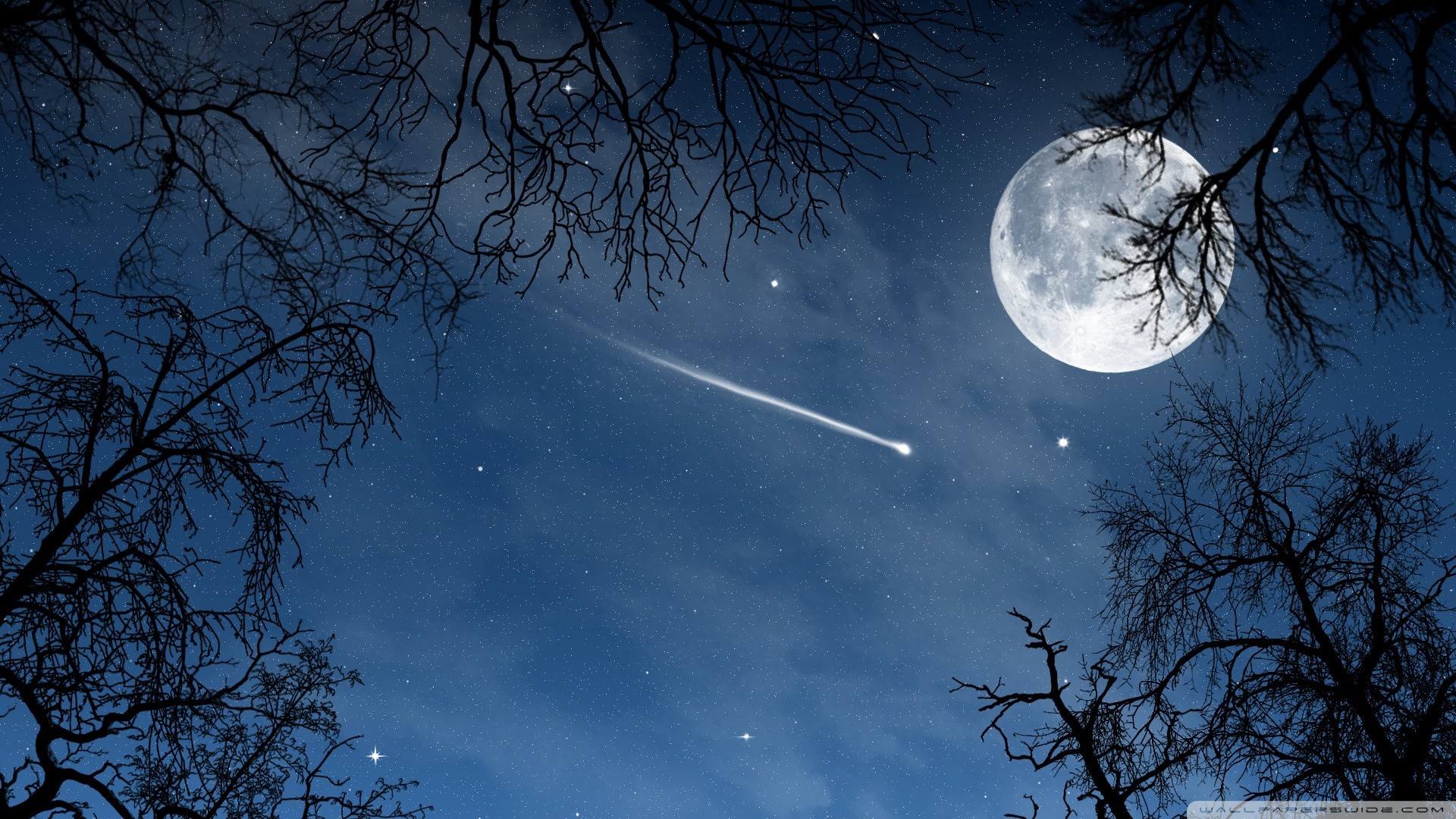 Luna piena, Stella cadente, Rami, Cielo notturno, Blu, Full HD, sfondo Windows 11