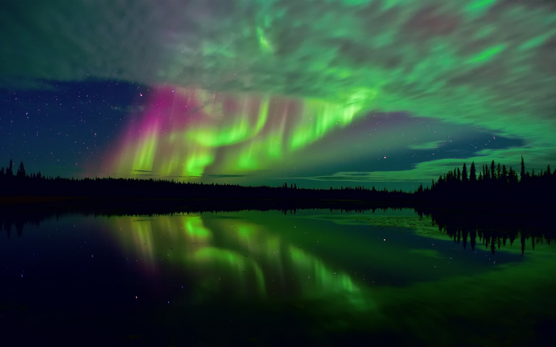 Aurora boreale, Lago, Foresta, Notte, Verde, immagine di sfondo Windows 10