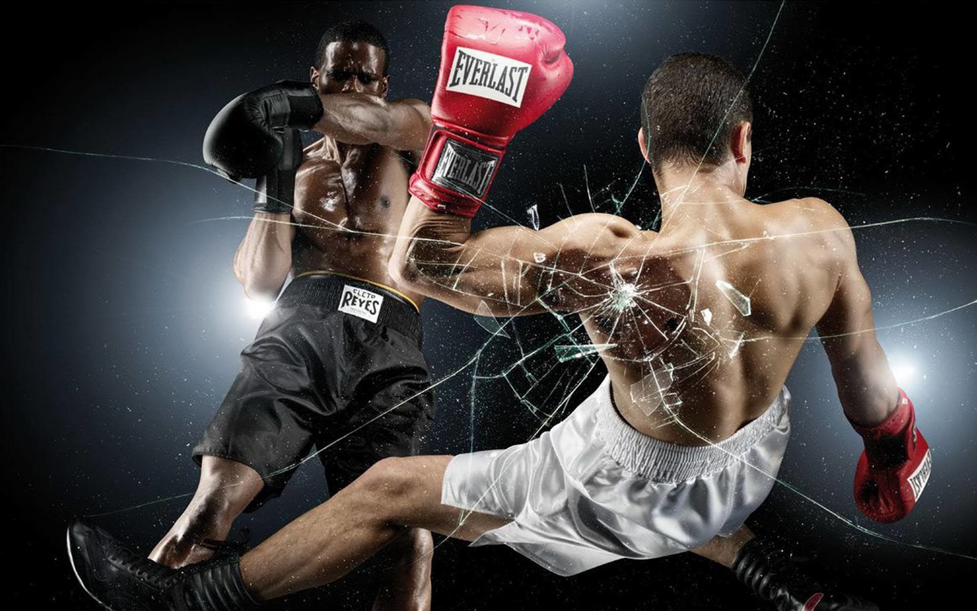 Everlast, Pugilato, Vetro infranto, Combattimento, Full HD, sfondo per PC