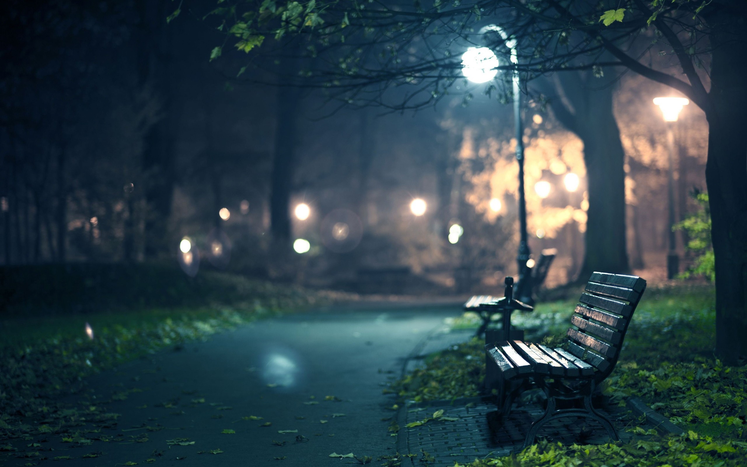 Parco, Lampione, Panchina, Notte, 16:10 2K, sfondo widescreen