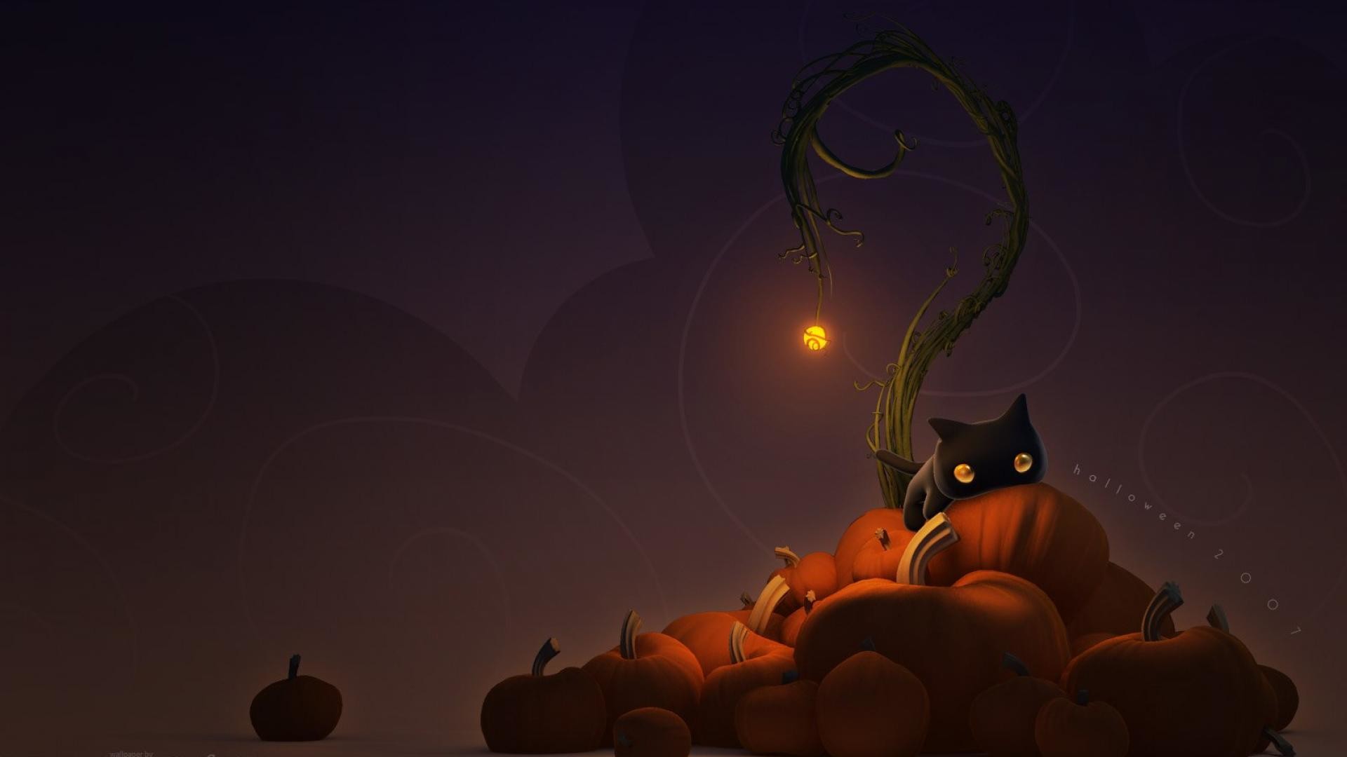 Gatto nero, Zucche, Lanterna, Toni scuri, Minimalismo, Full HD 1080p, sfondo desktop