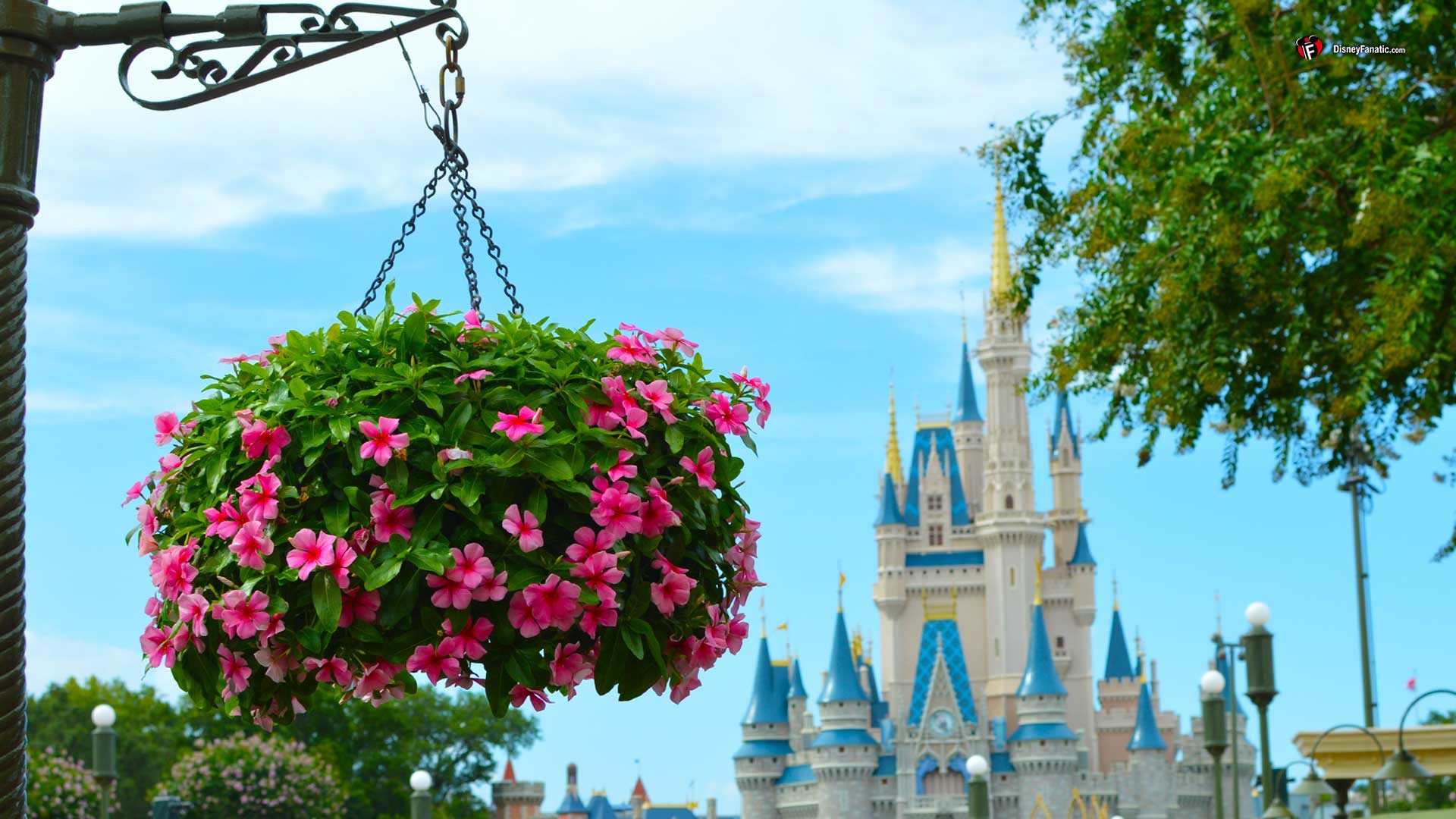 Castello di Cenerentola, Magic Kingdom, Fiori appesi, Cielo azzurro, sfondo 16:9 Full HD