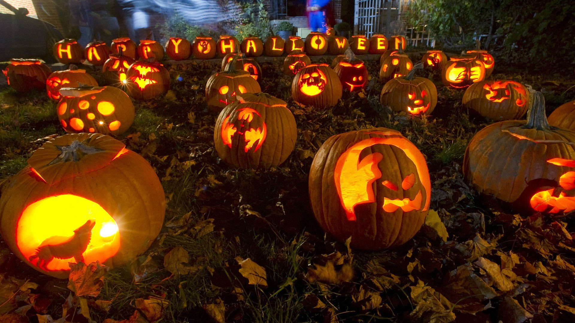 Jack-o'-lantern, Happy Halloween, Zucche intagliate, Giardino, Lupo ululante, sfondo 1080p