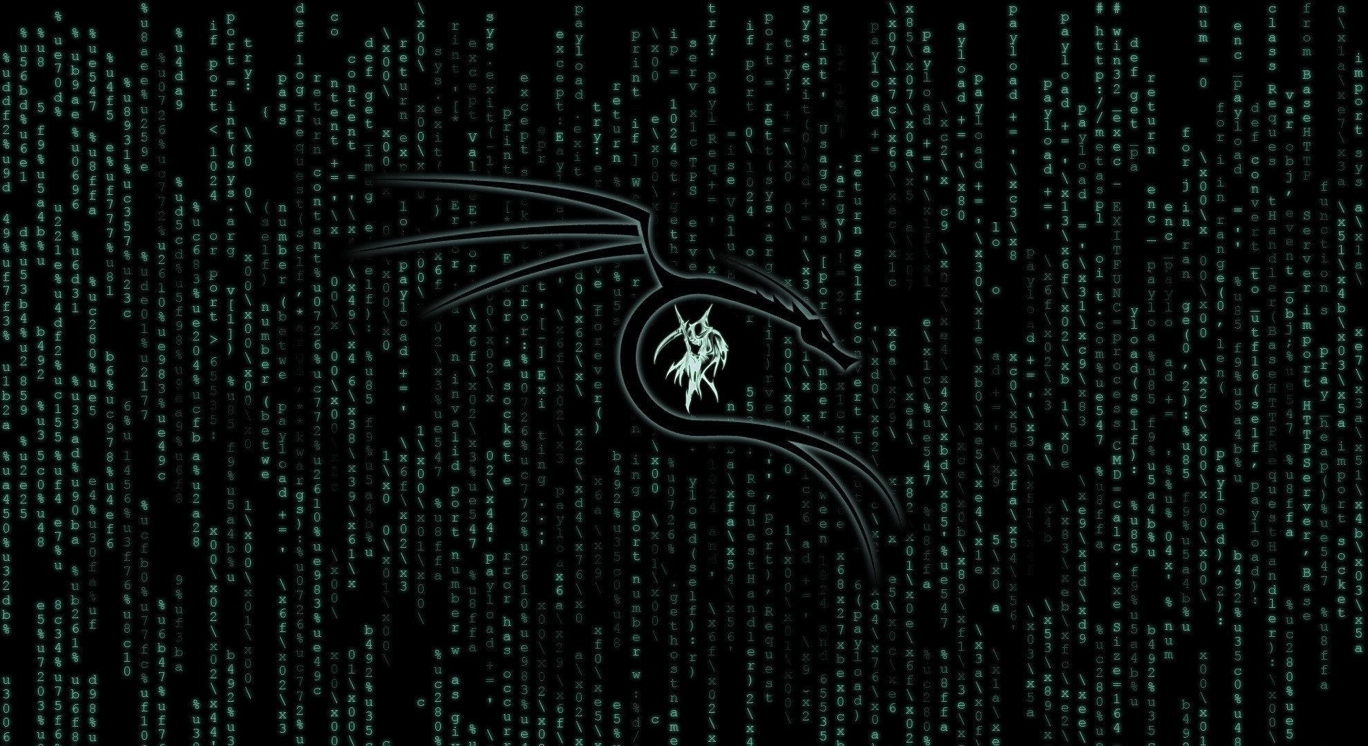 Kali Linux, Drago, Codice verde, Matrix, Full HD, sfondo desktop
