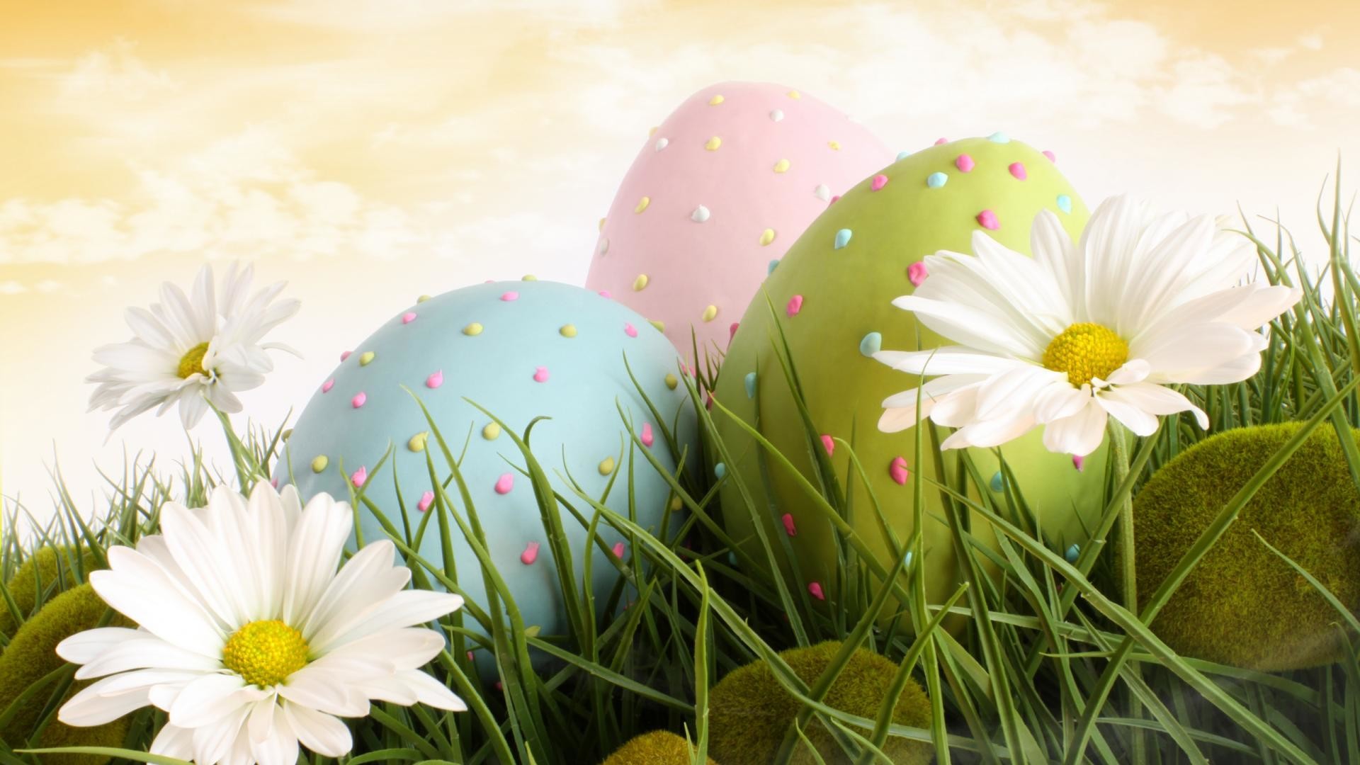 Uova di Pasqua, Margherite, Colori pastello, Erba, 16:9 Full HD, sfondo widescreen