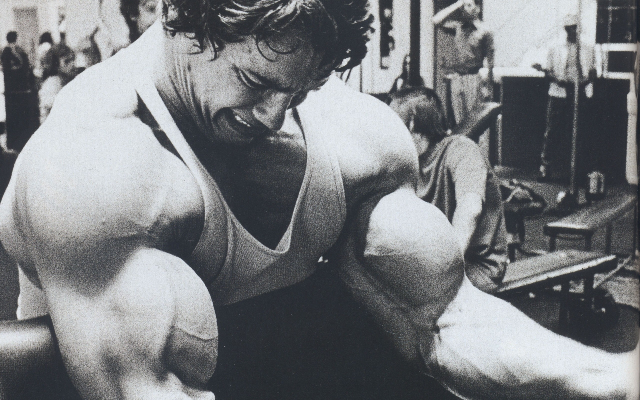 Arnold Schwarzenegger, Bicipiti, Palestra, Bianco e nero, 2K, sfondo Windows 11