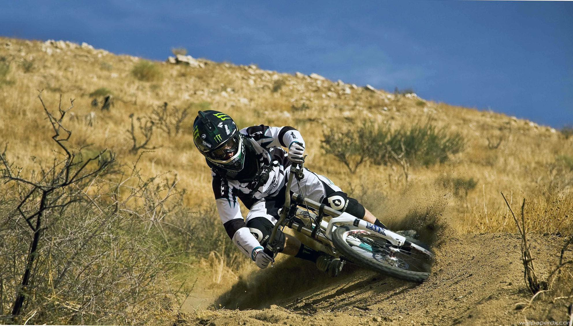 Mountain bike, Discesa, Prato secco, Curva, Full HD, wallpaper per PC
