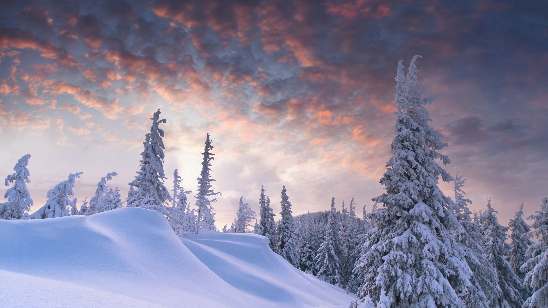 Abeti innevati, Nuvole, Tramonto, Montagna, 16:9 Full HD, sfondo widescreen