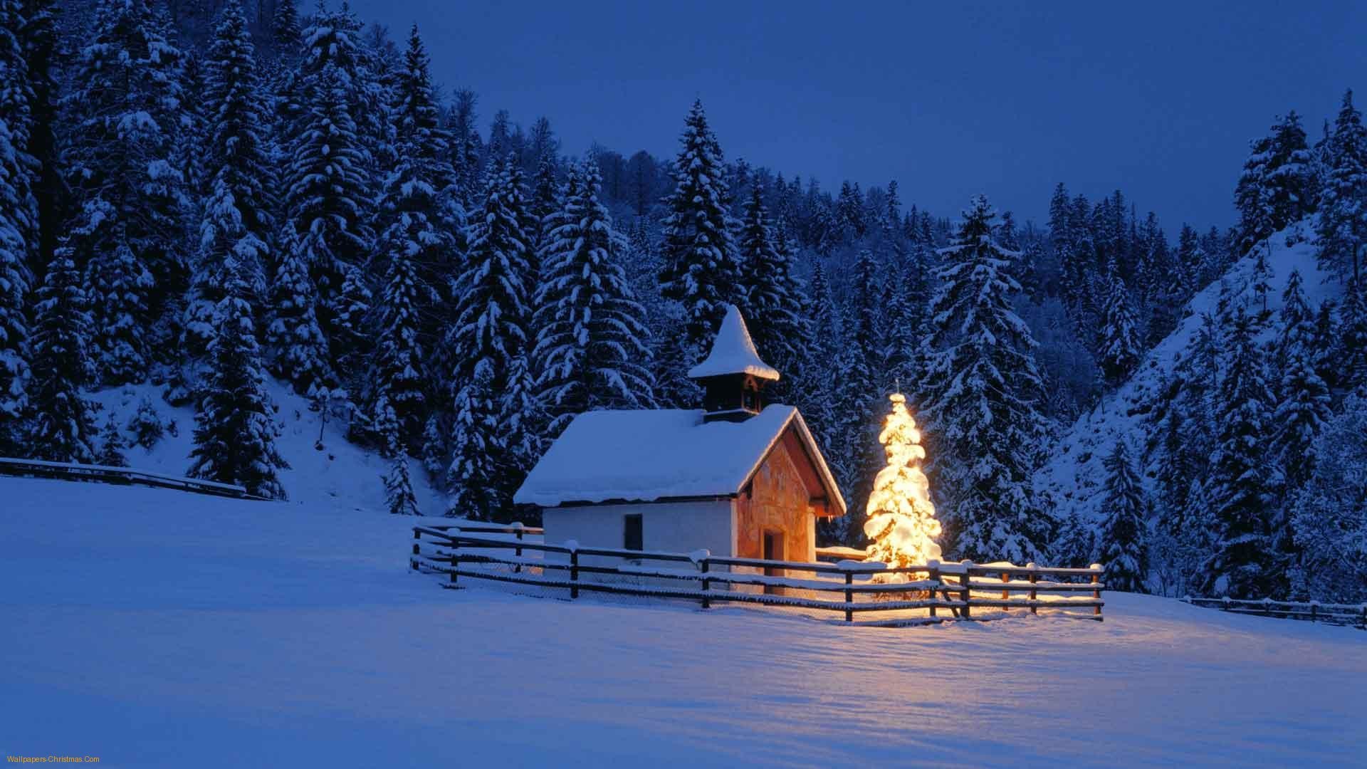 Cappella, Albero di Natale, Bosco innevato, Crepuscolo, Full HD 1080p, sfondo desktop