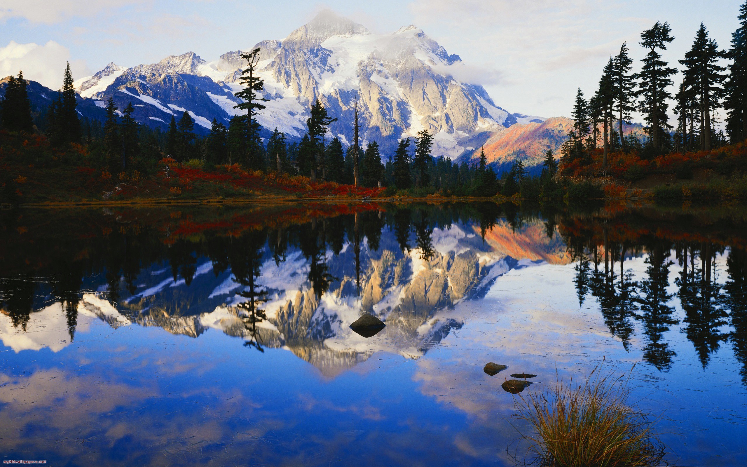 Mount Shuksan, Picture Lake, Washington, Lago di montagna, Riflesso, Abeti, sfondo desktop 1600p